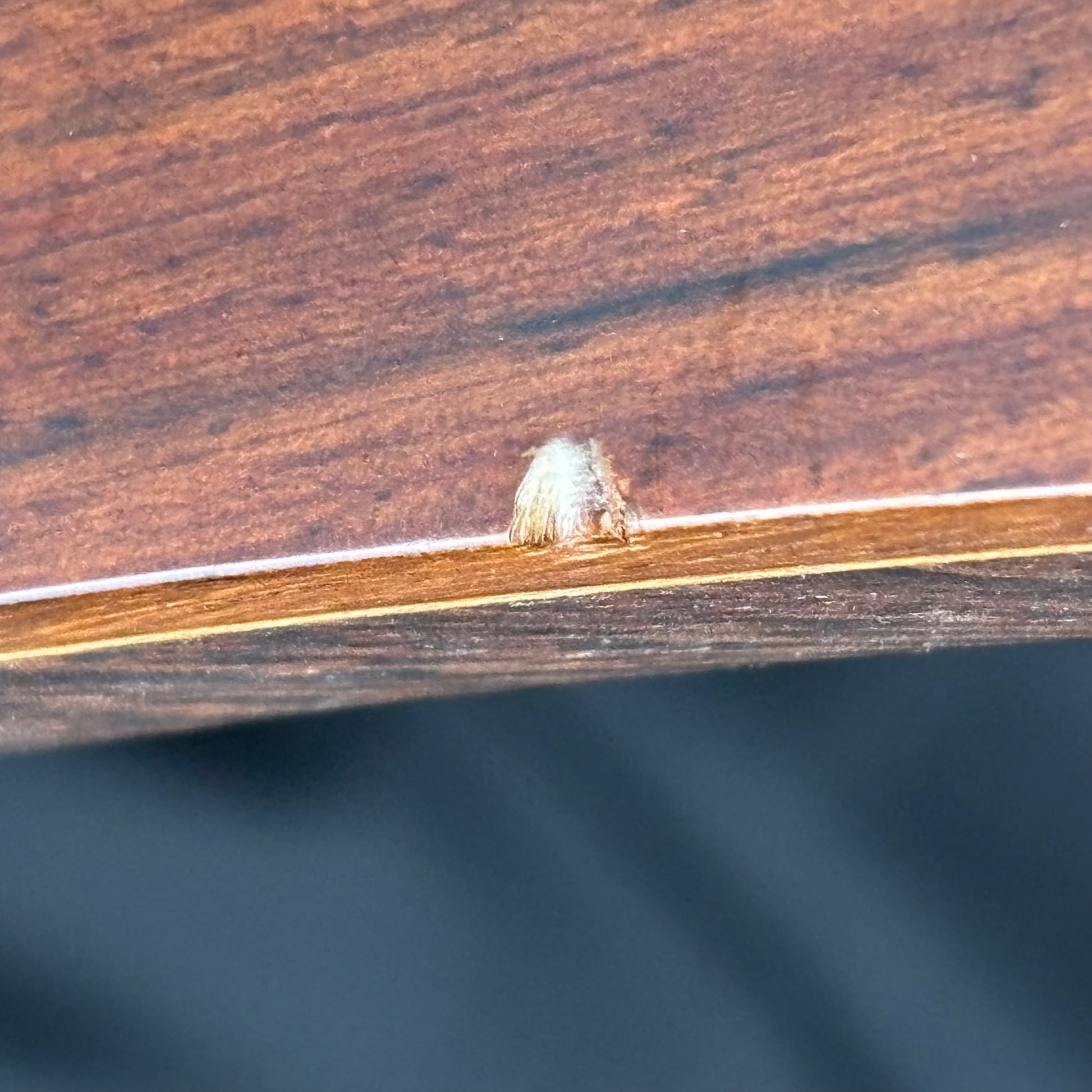 Ibanez Premium SR1800 Bass