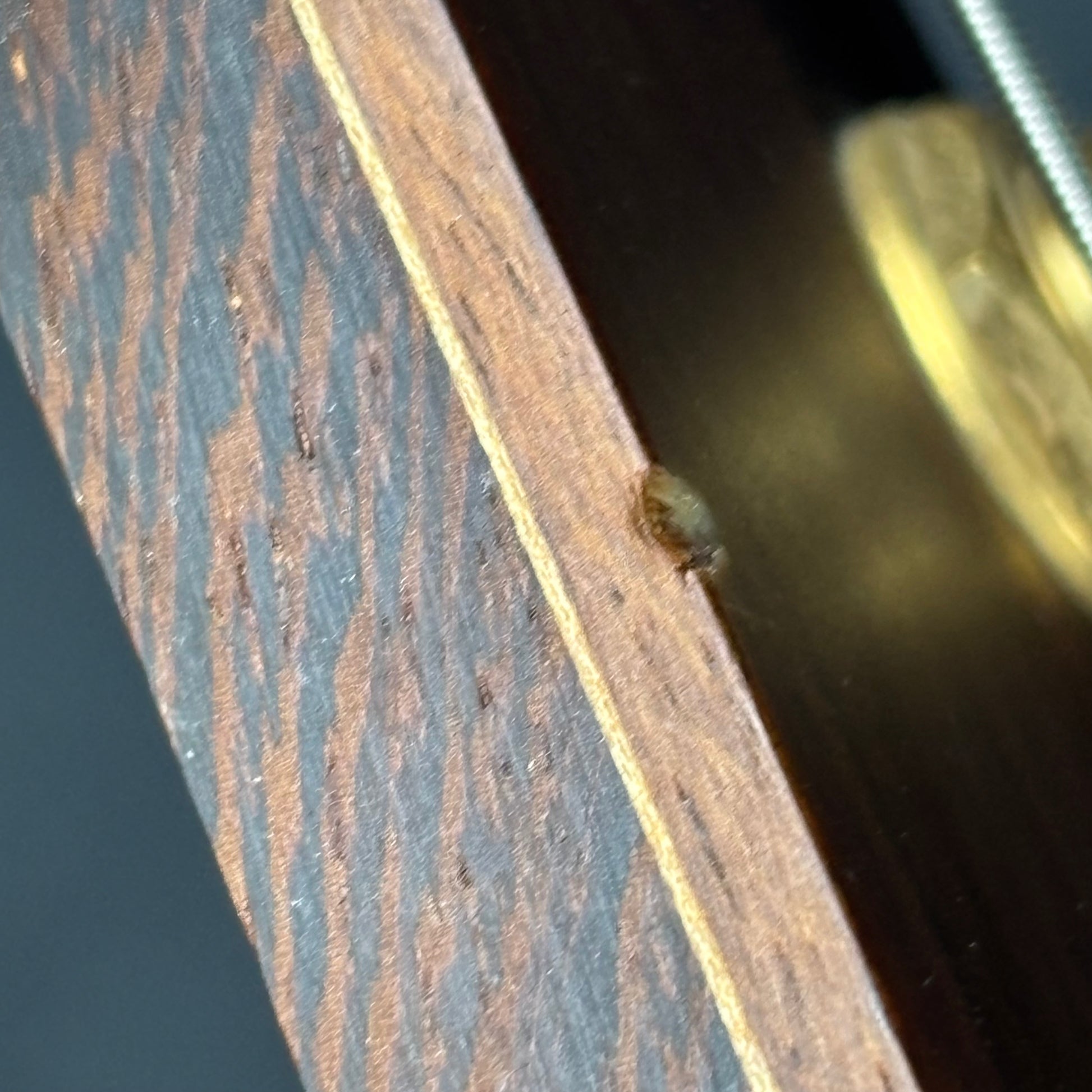 Ibanez Premium SR1800 Bass