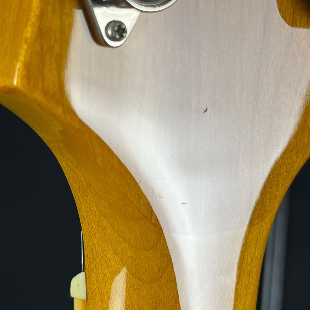 Epiphone WILDKAT With Bigsby