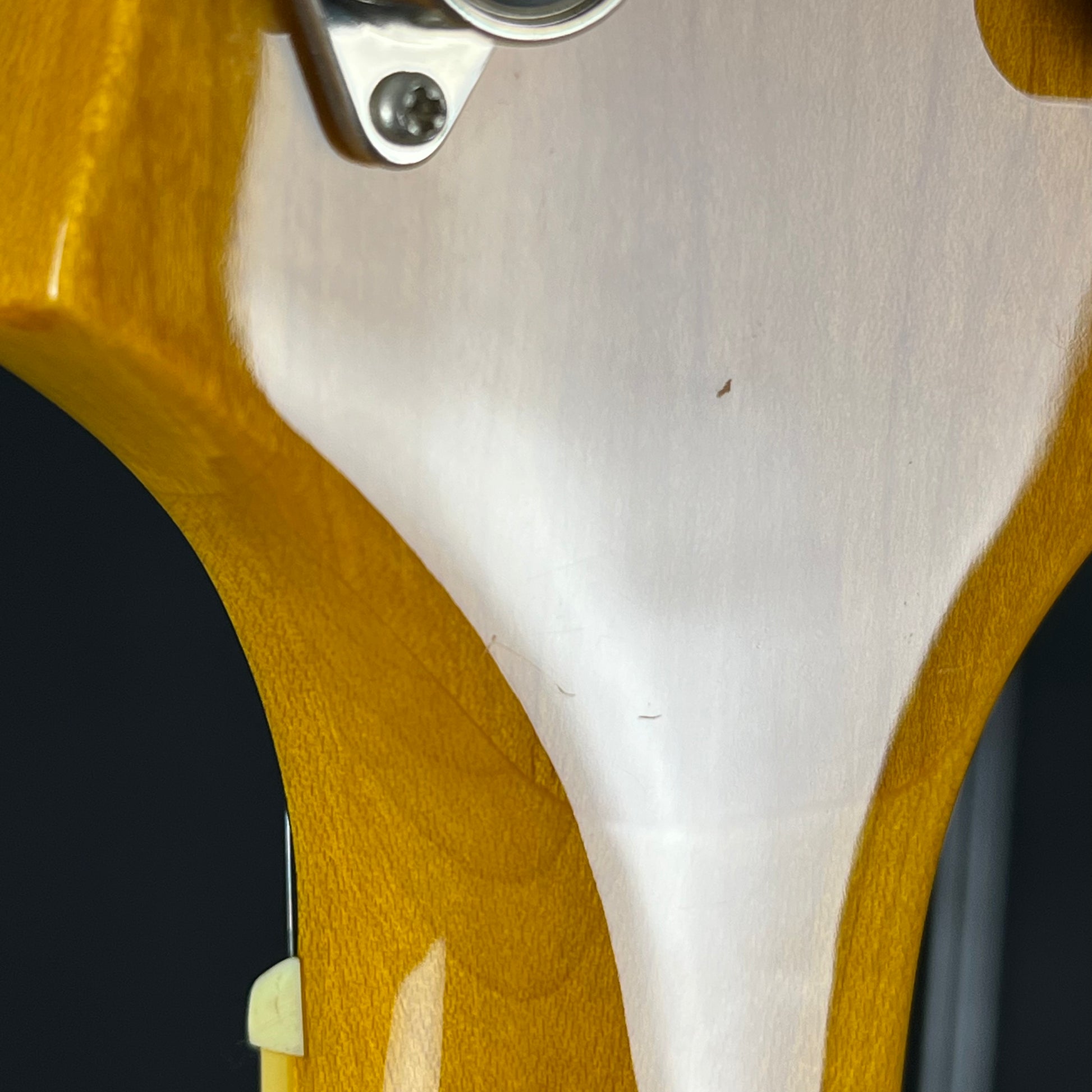 Epiphone WILDKAT With Bigsby