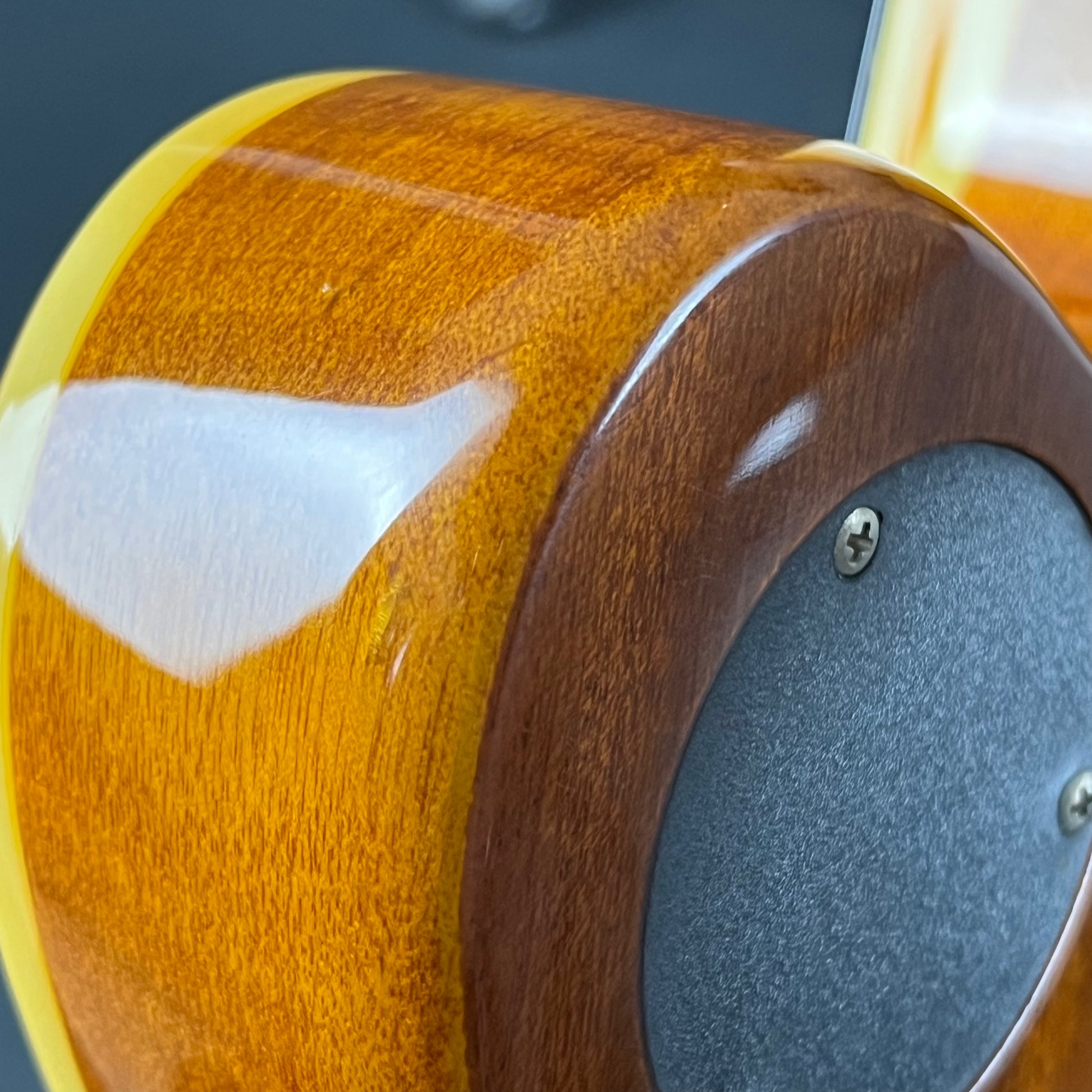 Epiphone WILDKAT With Bigsby