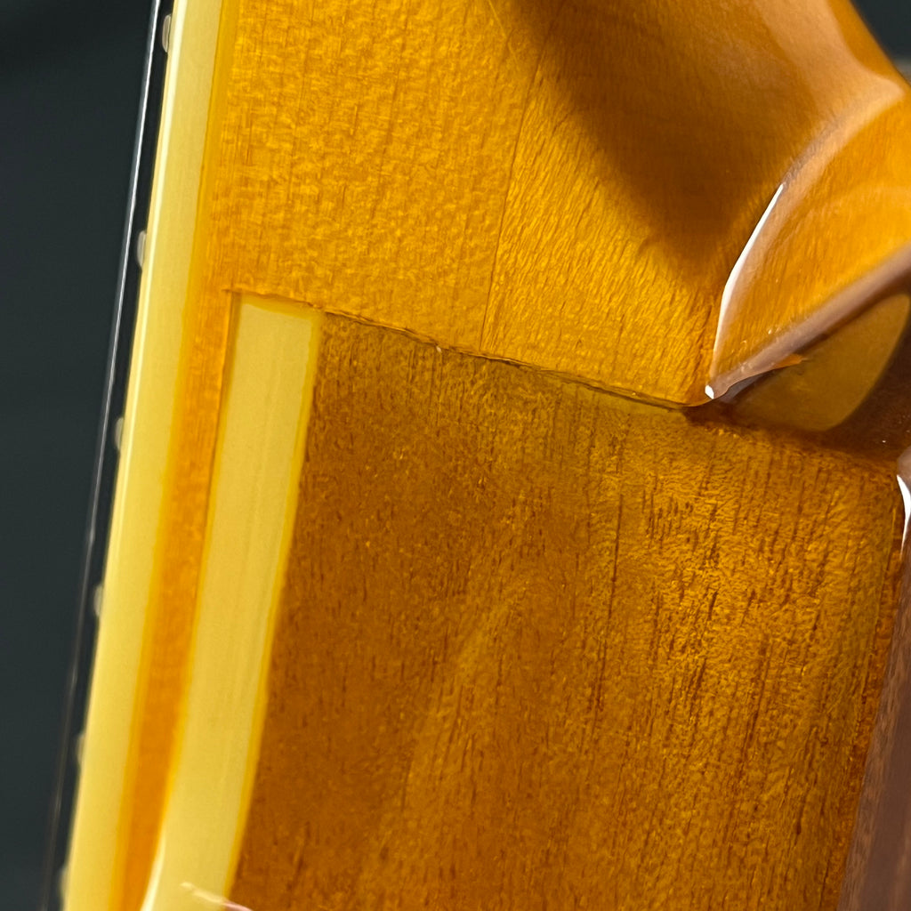 Epiphone WILDKAT With Bigsby