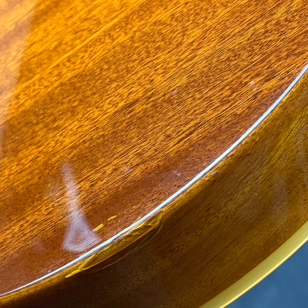 Epiphone WILDKAT With Bigsby