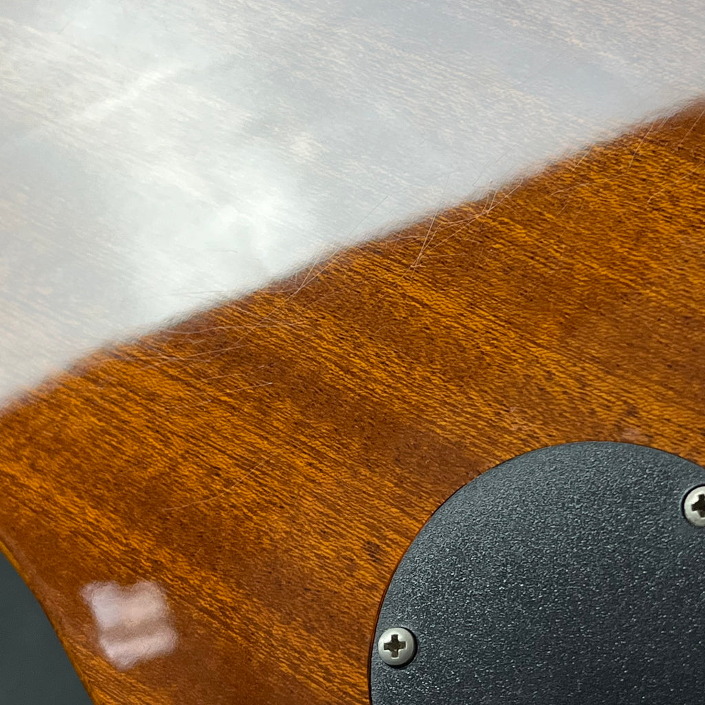 Epiphone WILDKAT With Bigsby