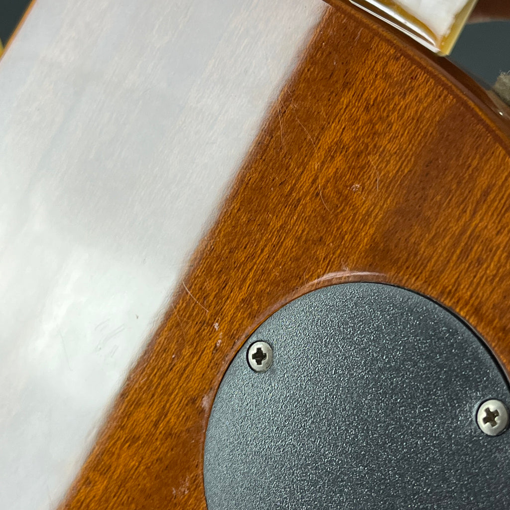 Epiphone WILDKAT With Bigsby