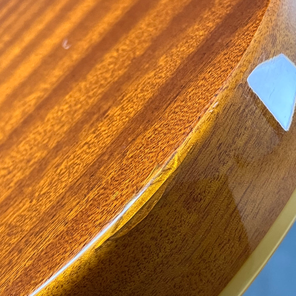 Epiphone WILDKAT With Bigsby