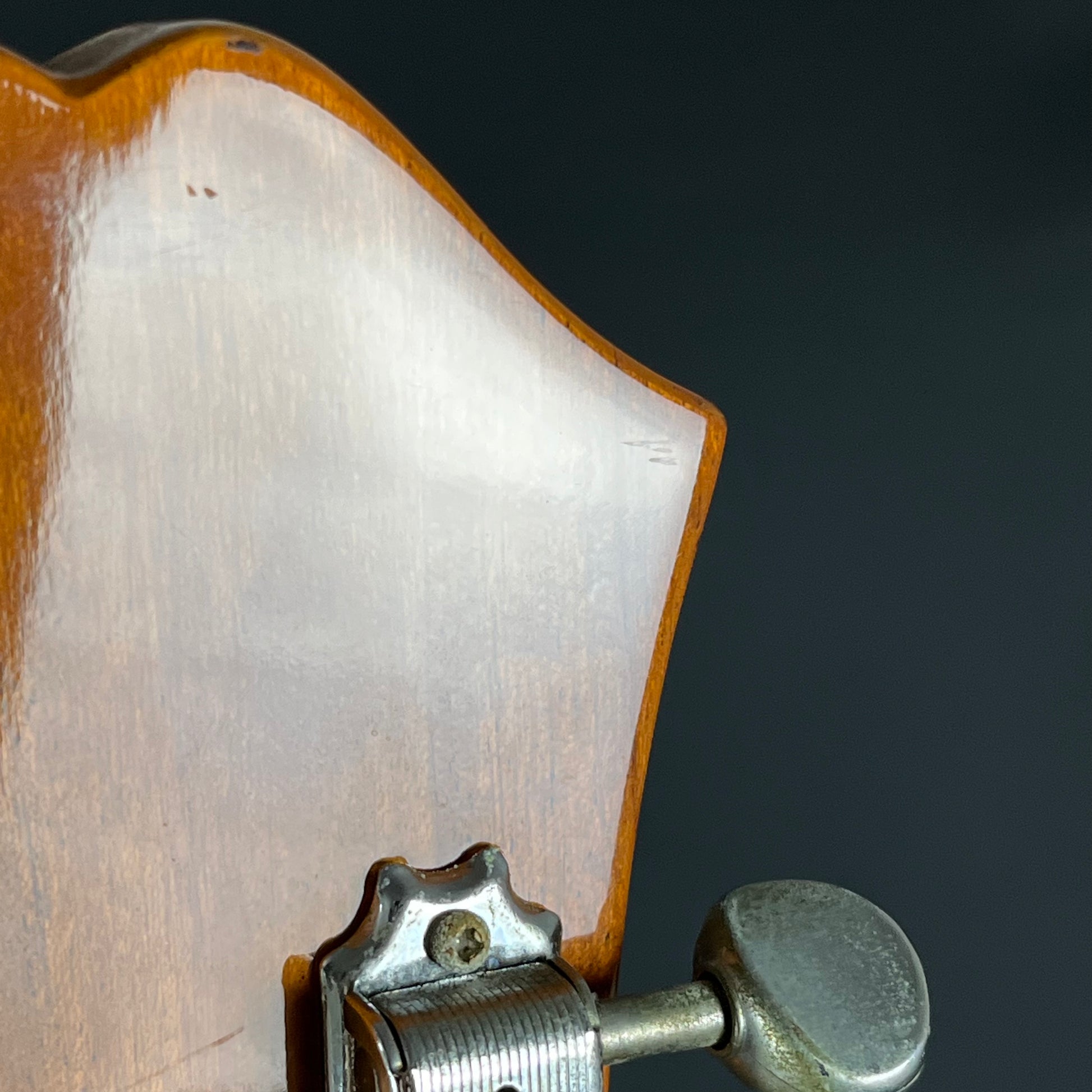 Epiphone Korea Casino NA