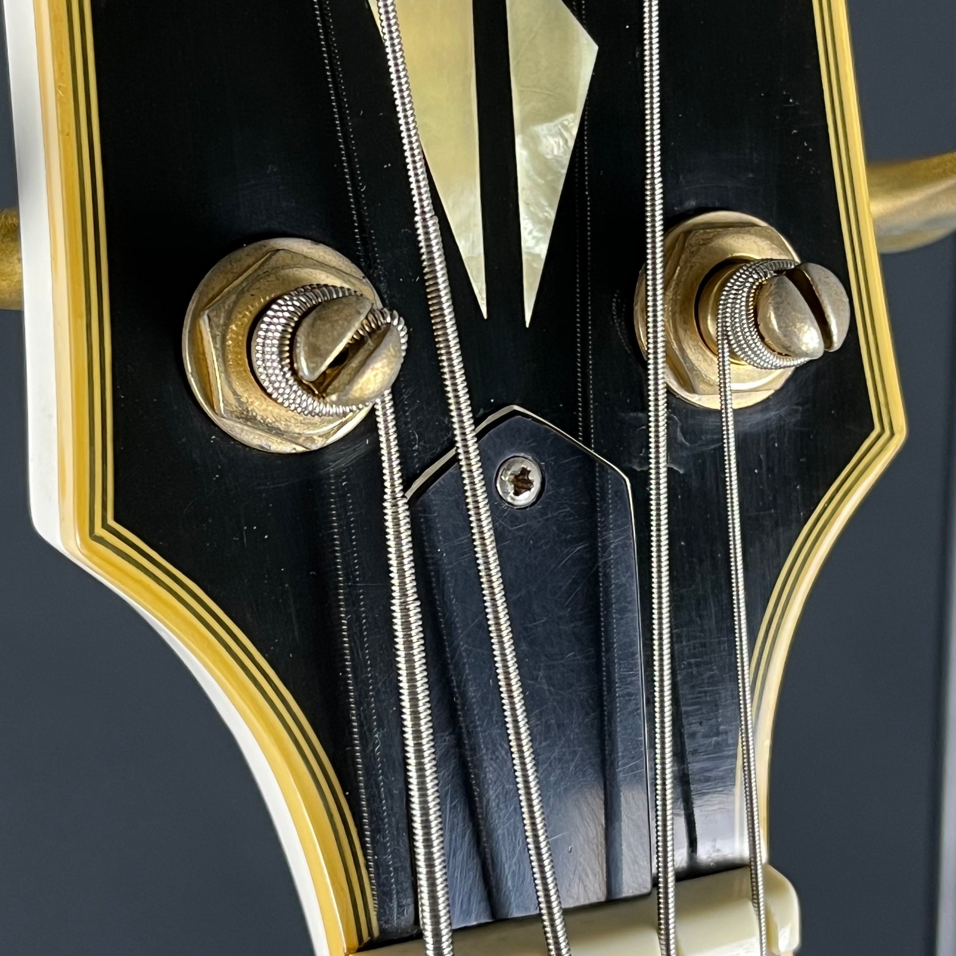 GrassRoots LP Bass