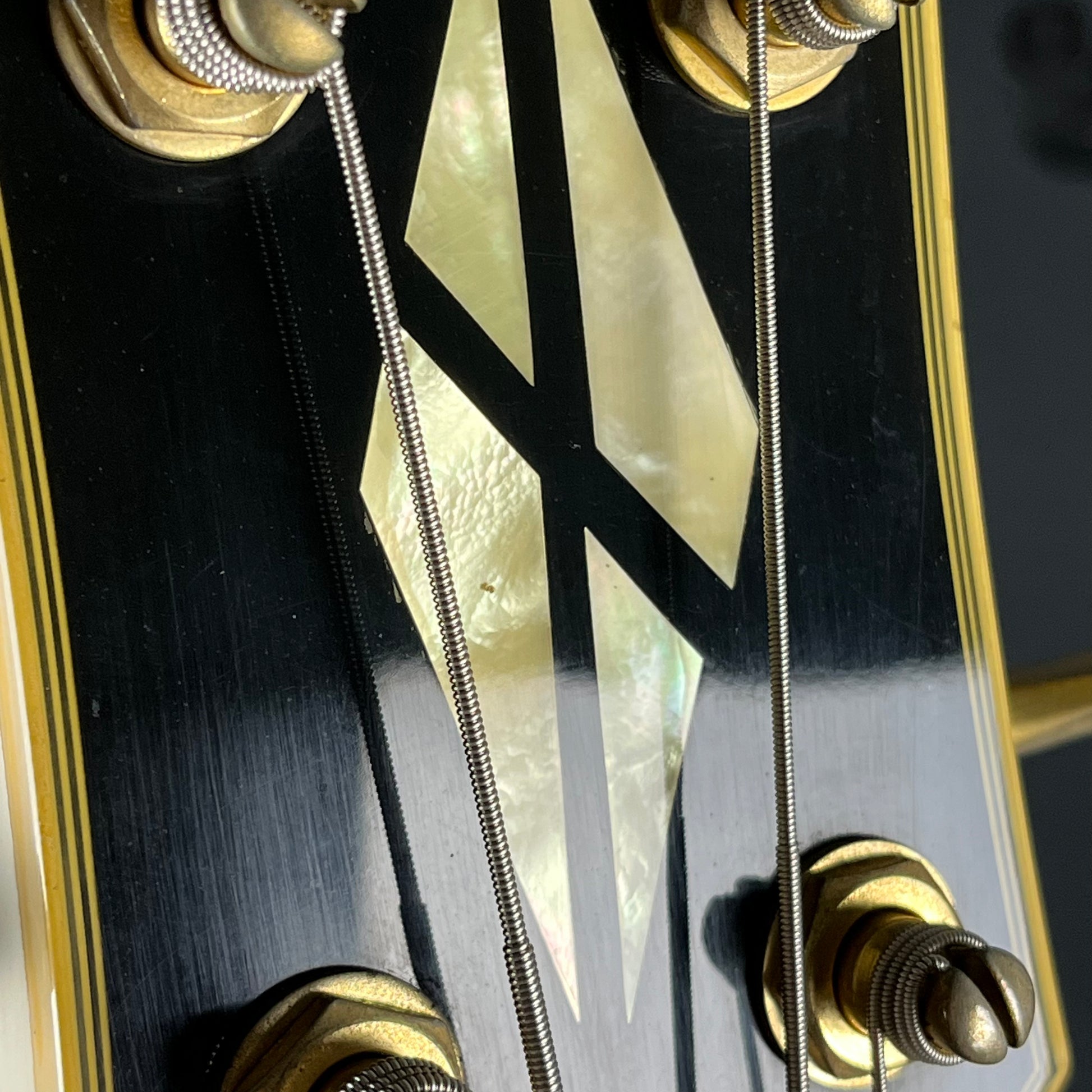 GrassRoots LP Bass