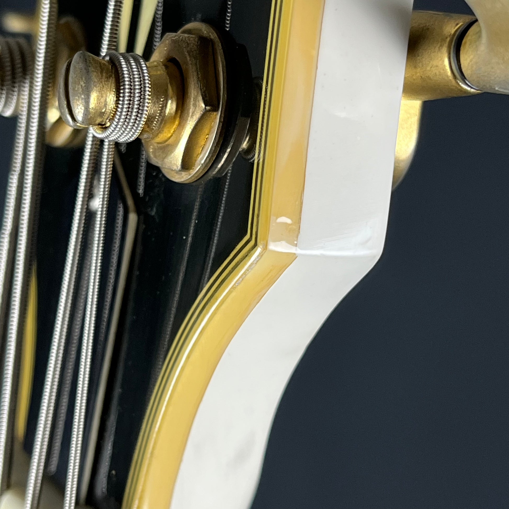 GrassRoots LP Bass