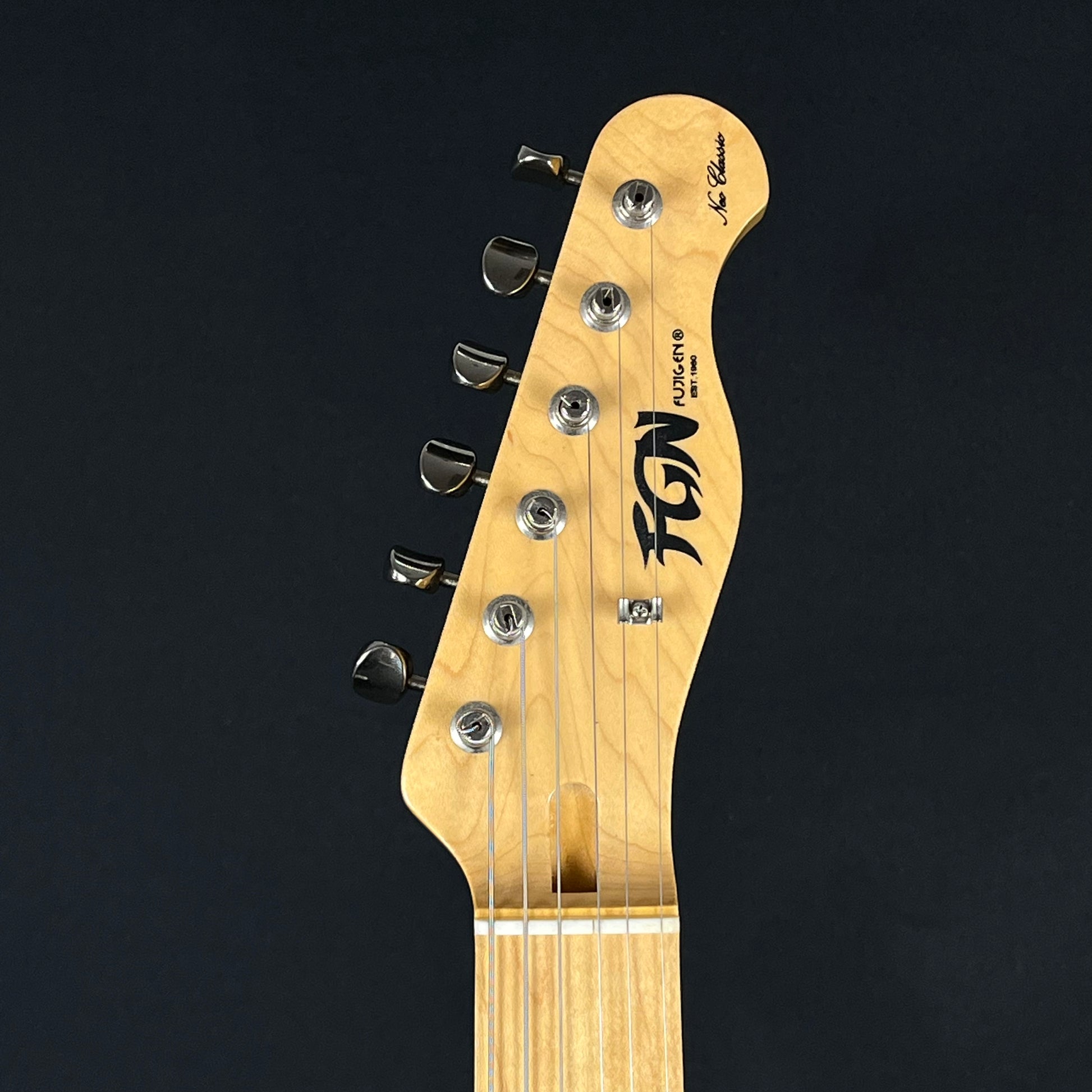 FGN Japan Telecaster Thinline