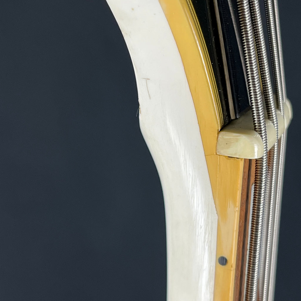 GrassRoots LP Bass