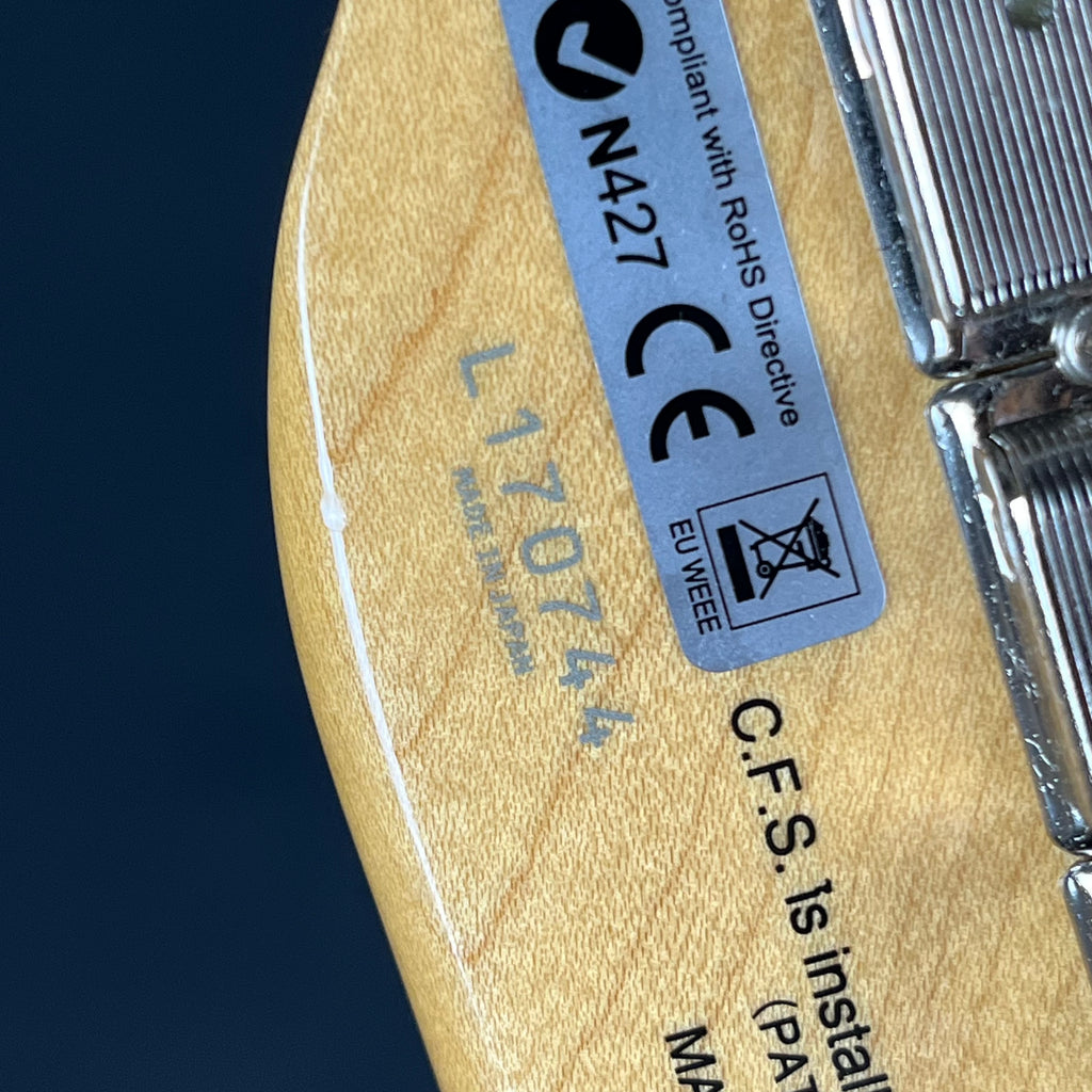 FGN Japan Telecaster Thinline