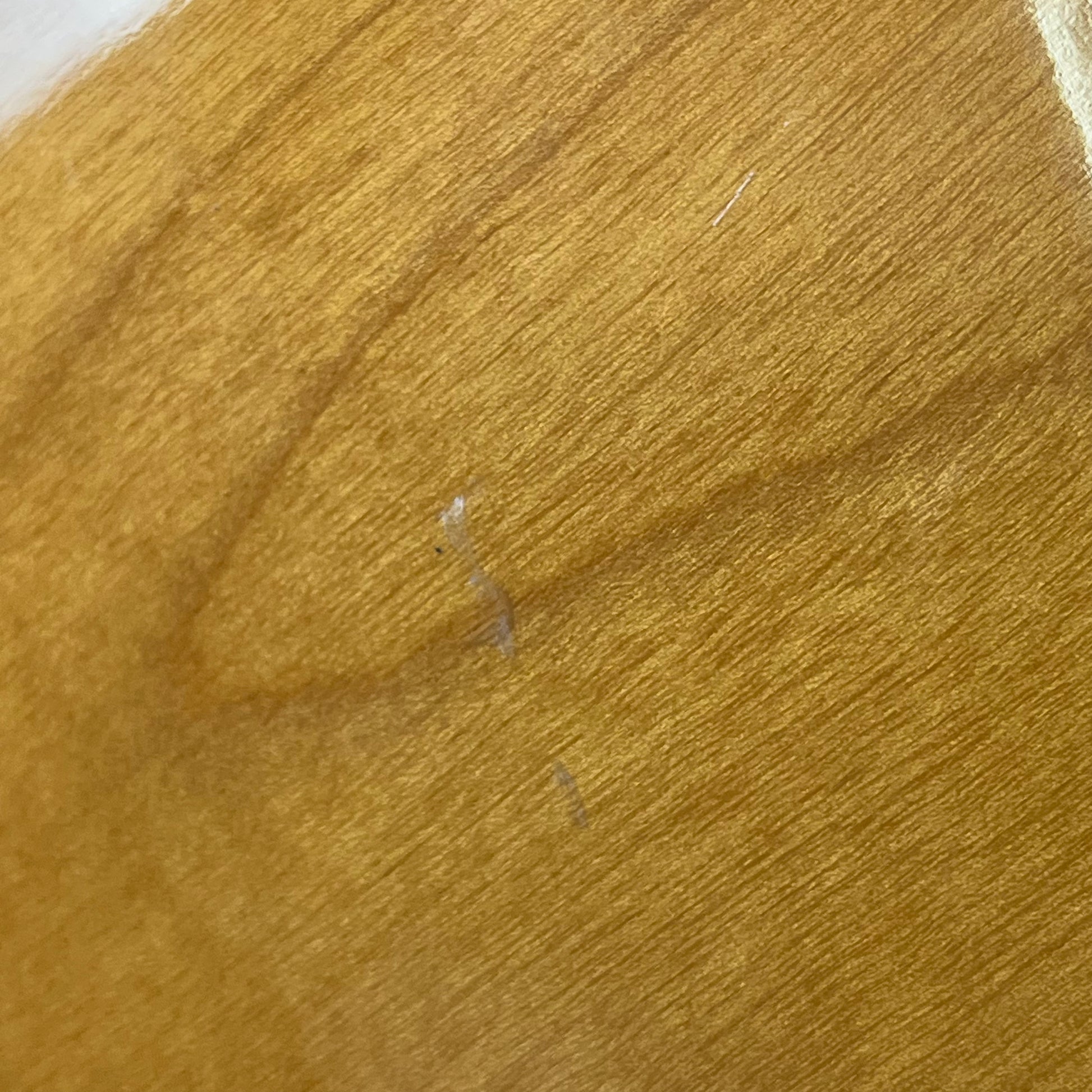 Epiphone Korea Casino NA