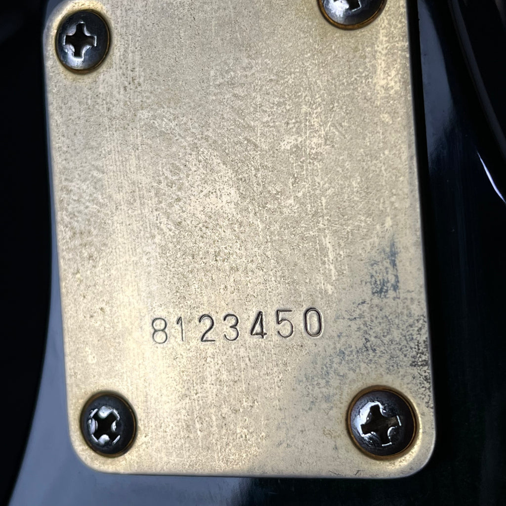 Ibanez RX Series