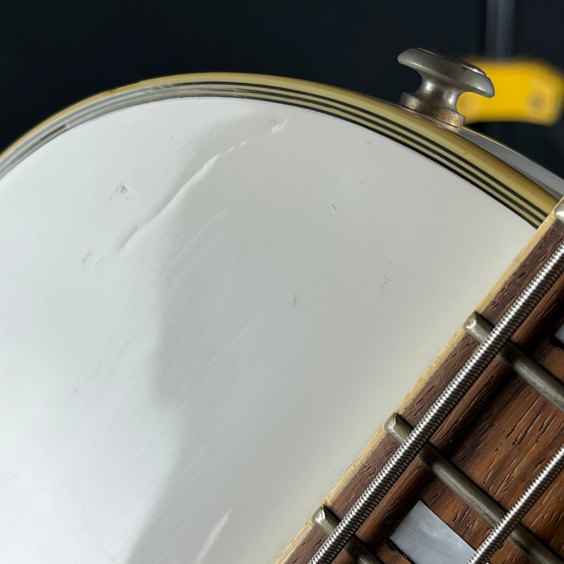 GrassRoots LP Bass