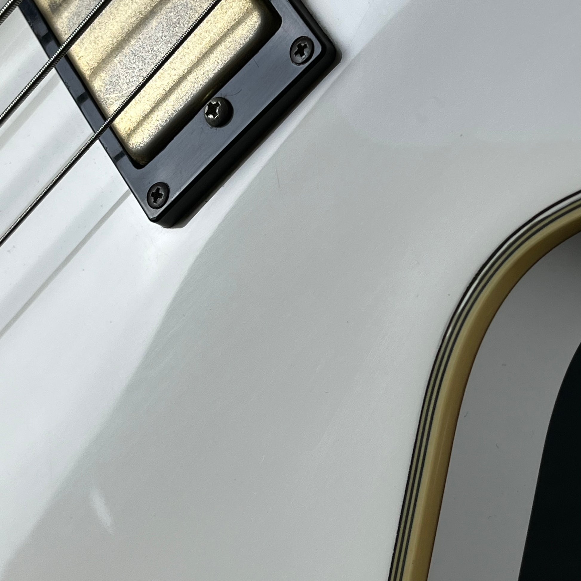 GrassRoots LP Bass