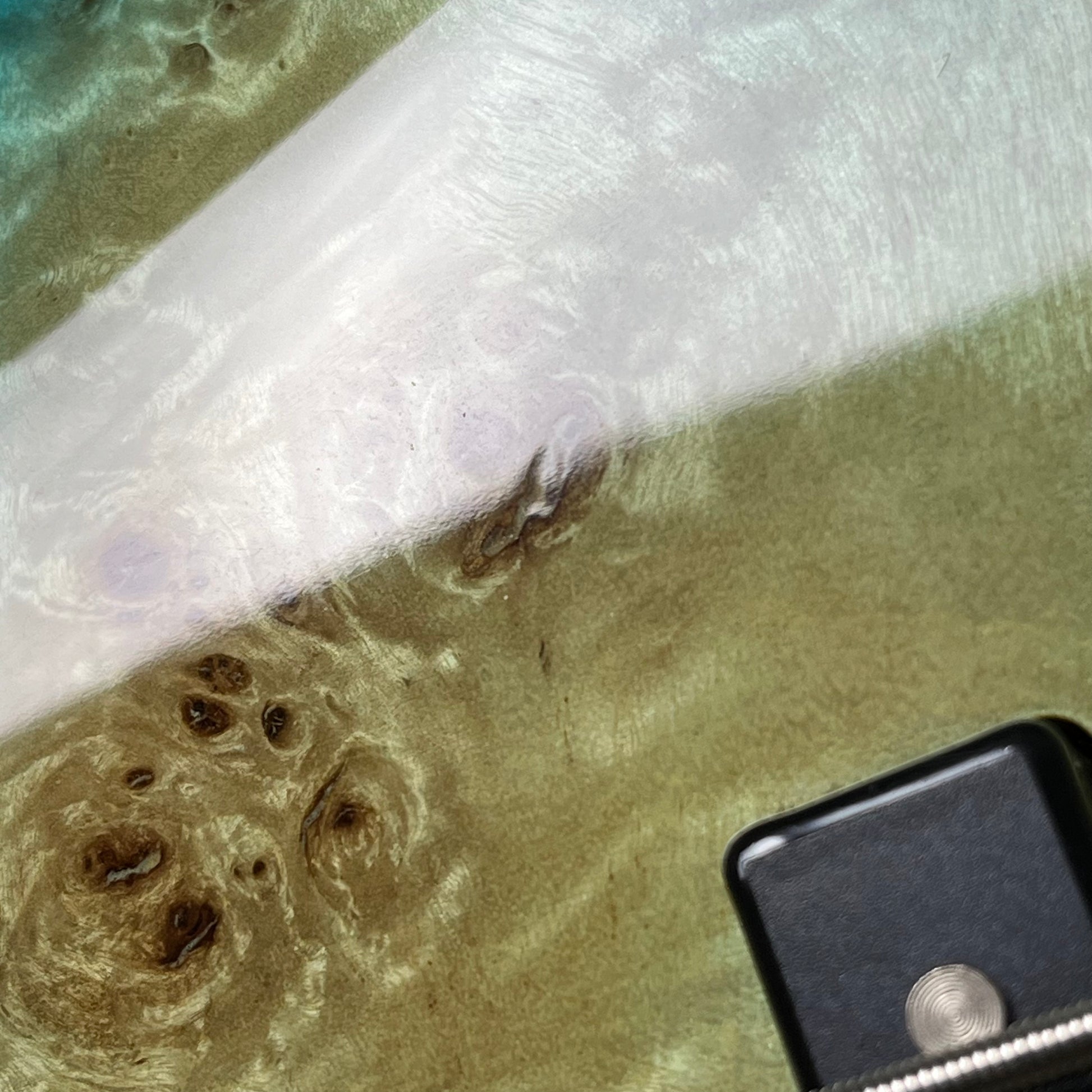 Bacchus WJB5-BP Active