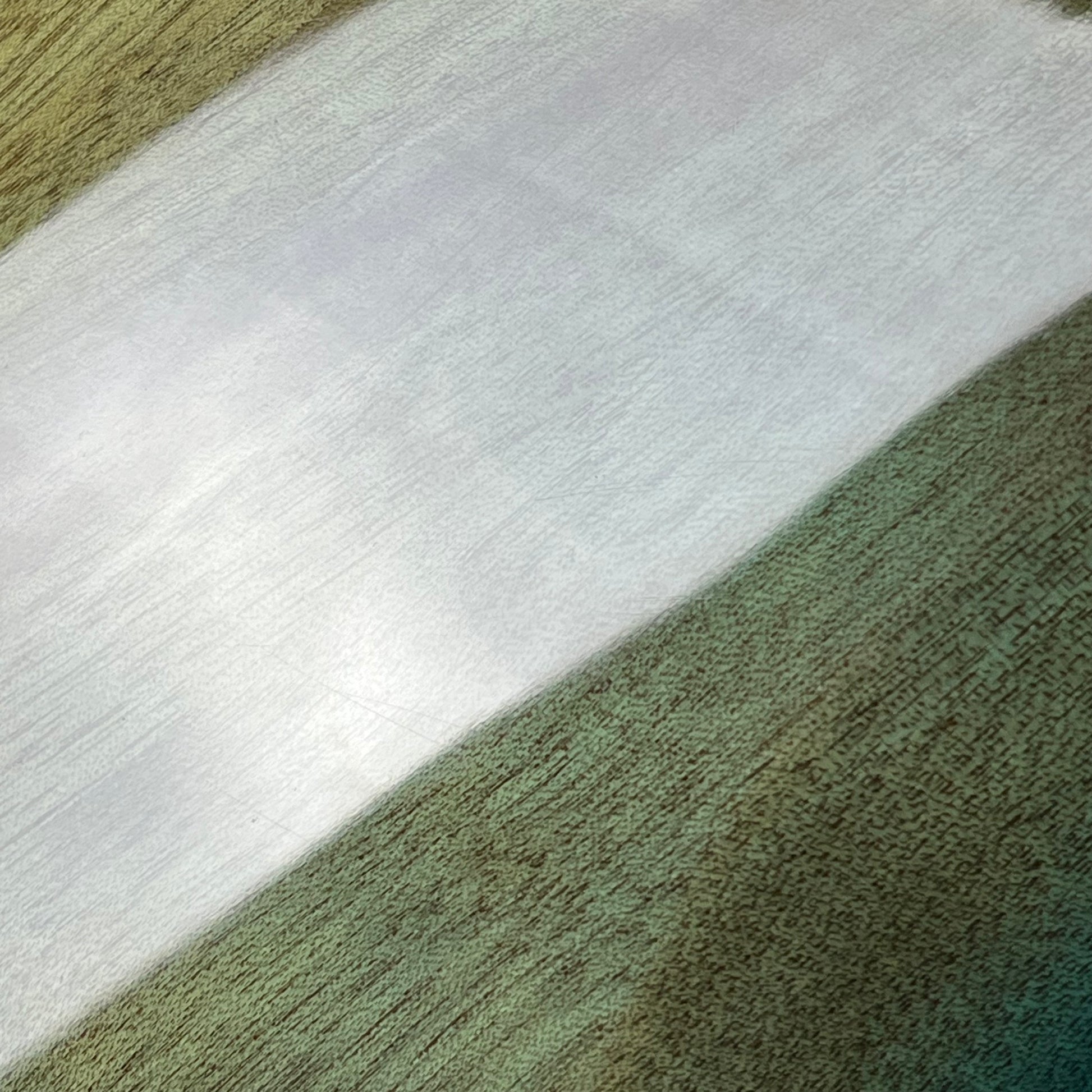 Bacchus WJB5-BP Active