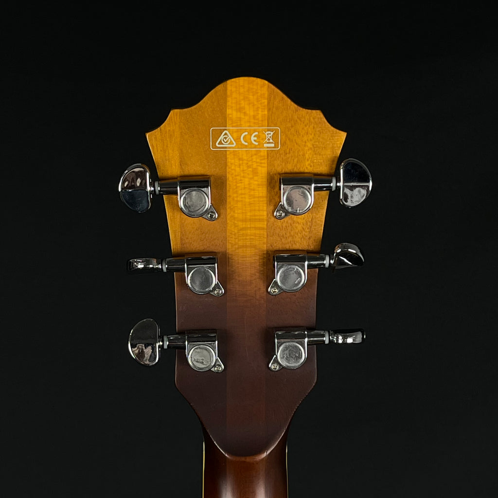 Ibanez AFV105-RAF 2019