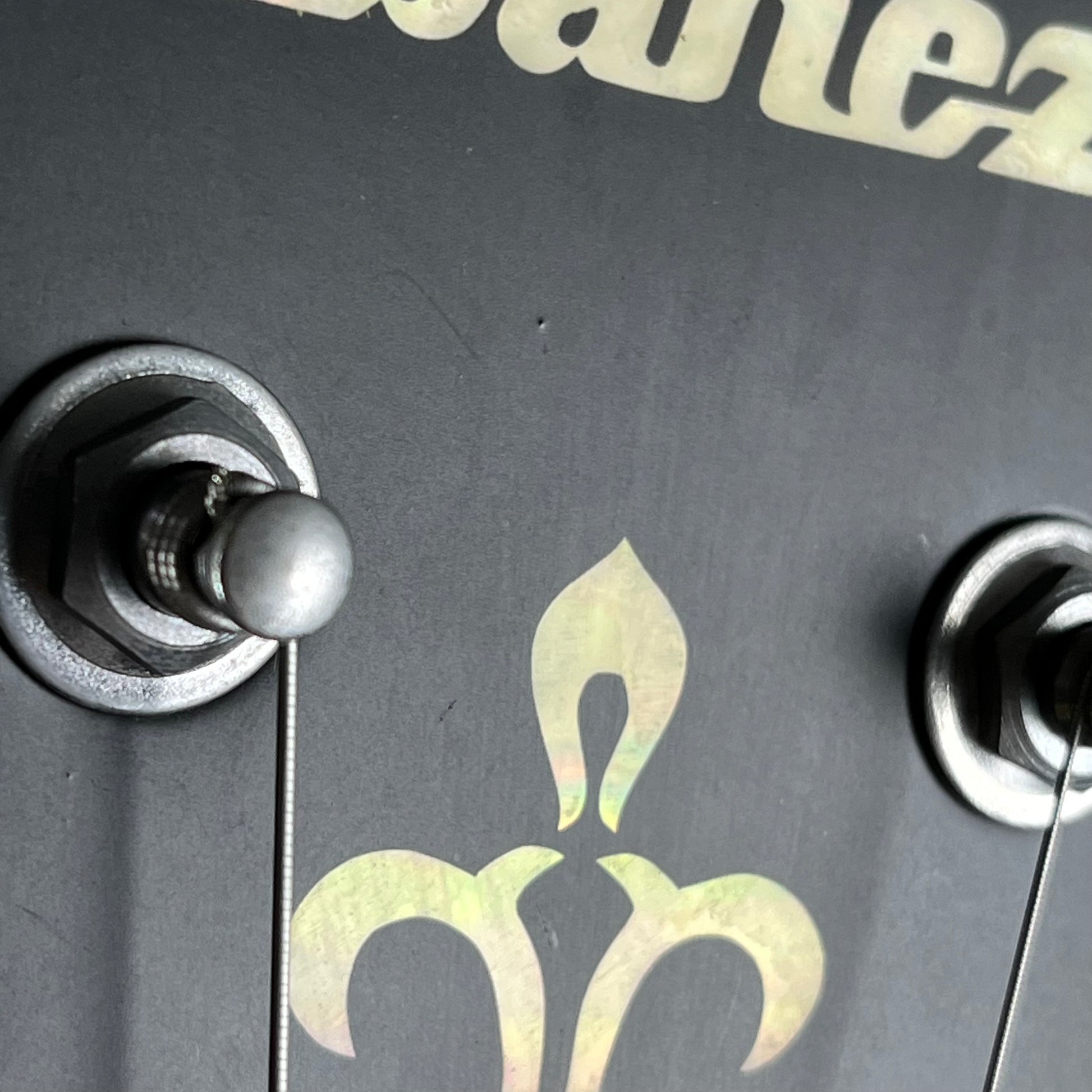 Ibanez AFV105-RAF 2019