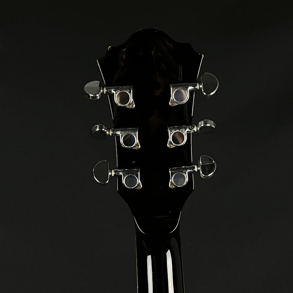 Ibanez AF75-BS