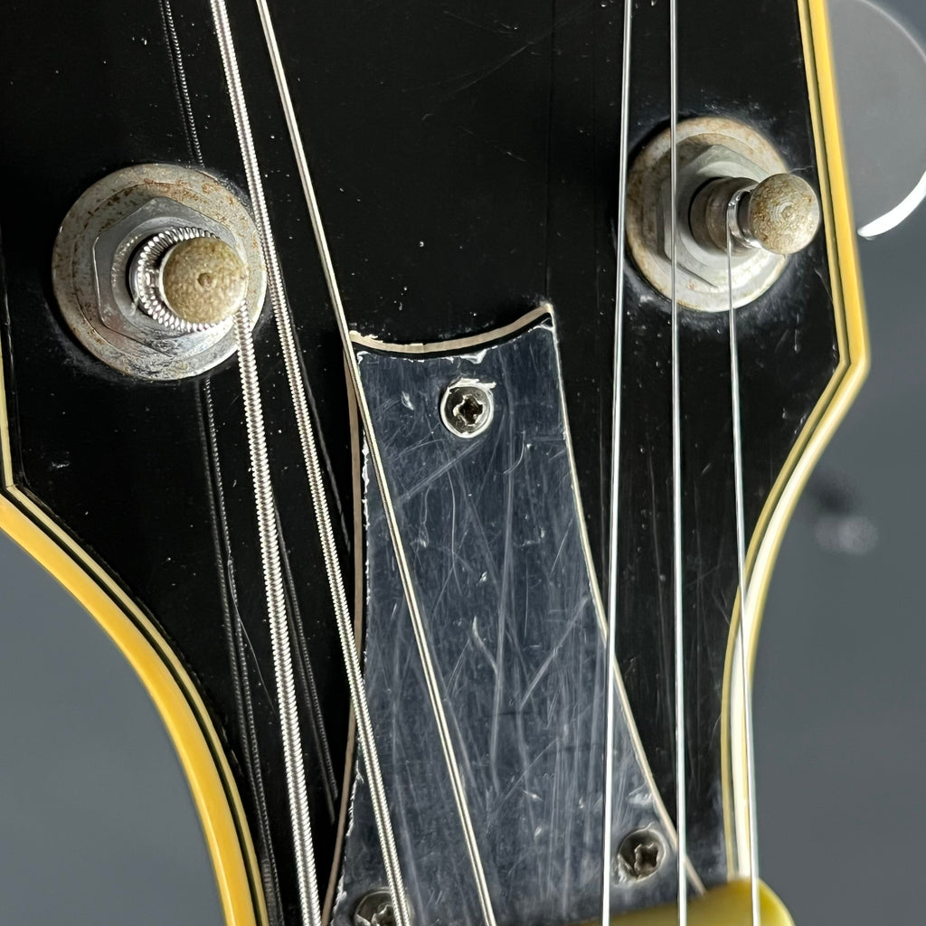 Ibanez AF75-BS