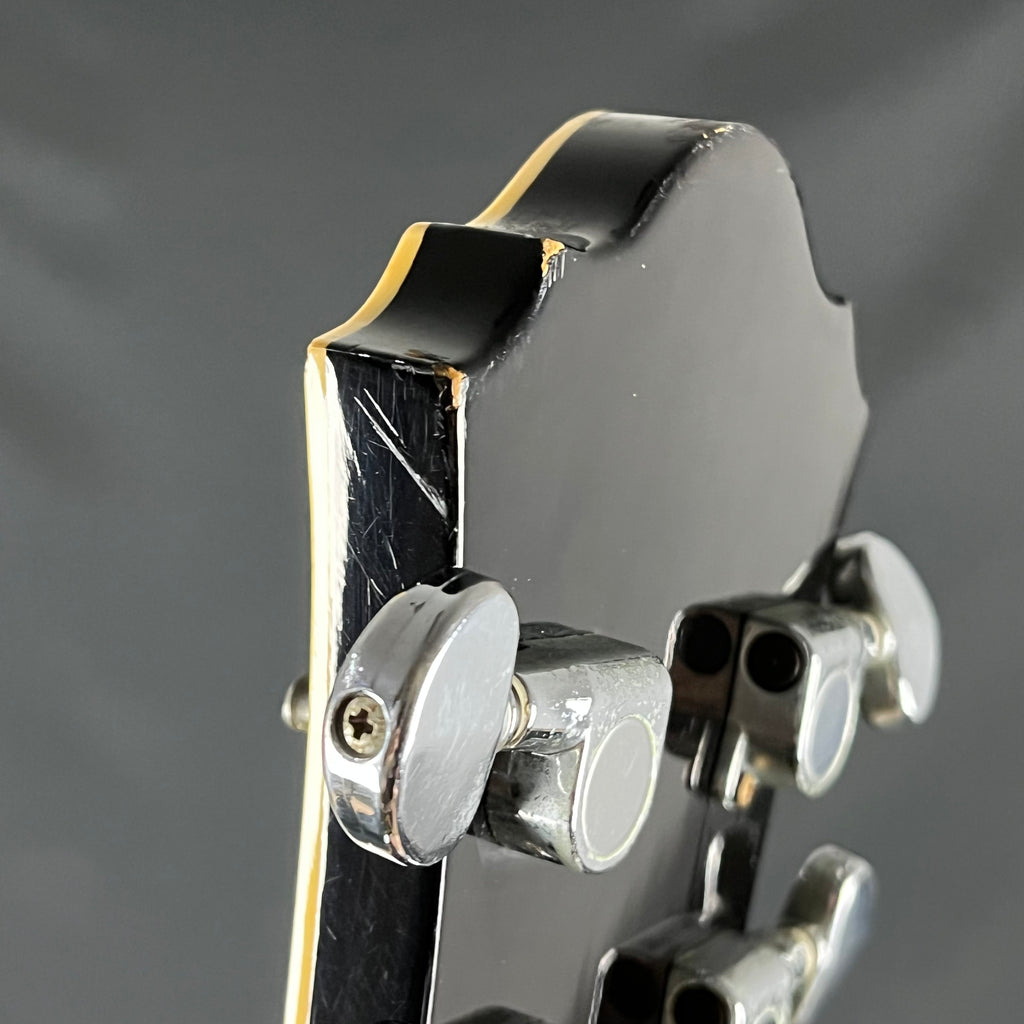 Ibanez AF75-BS