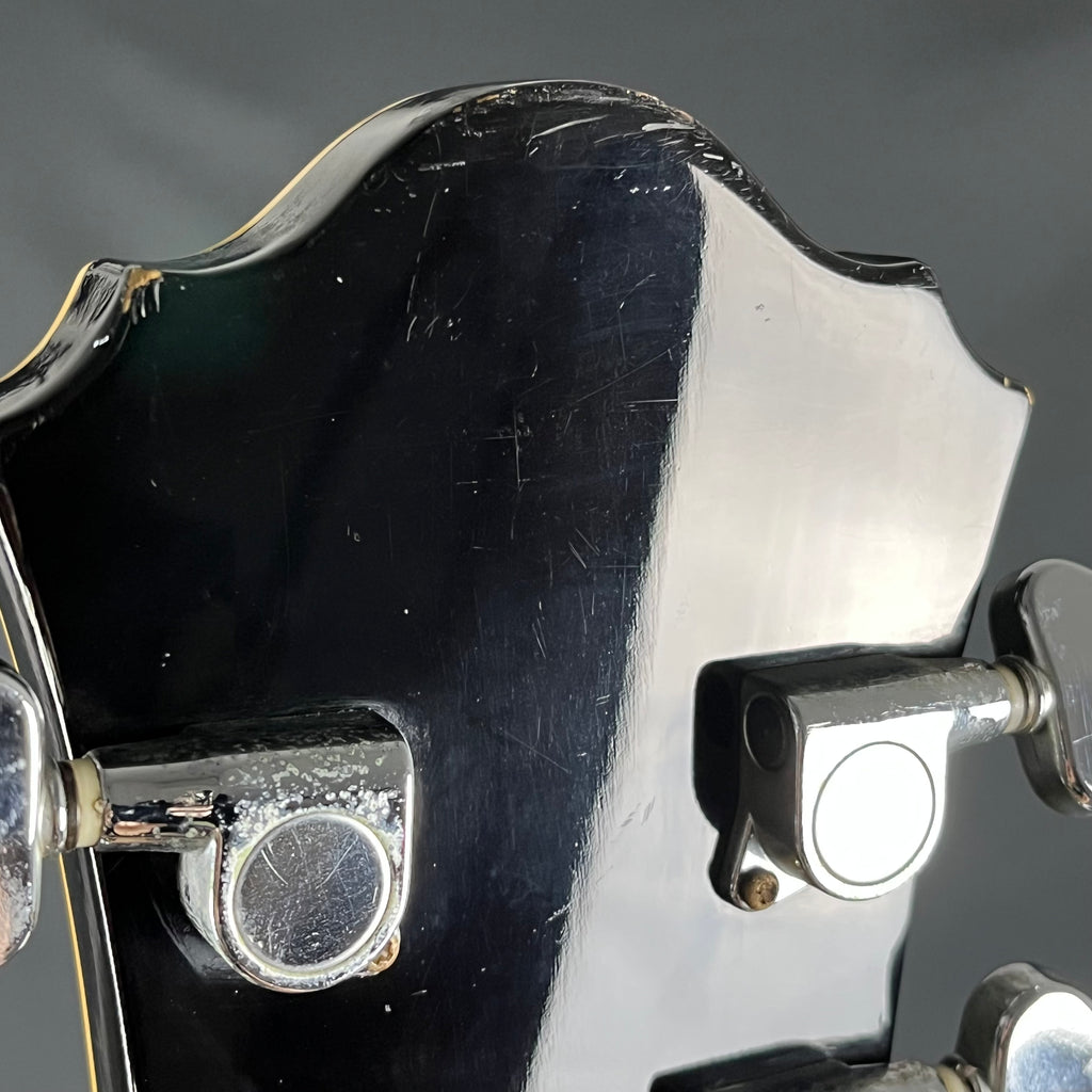 Ibanez AF75-BS
