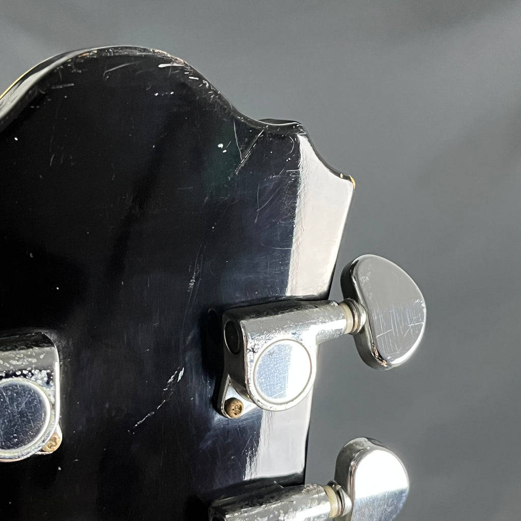 Ibanez AF75-BS