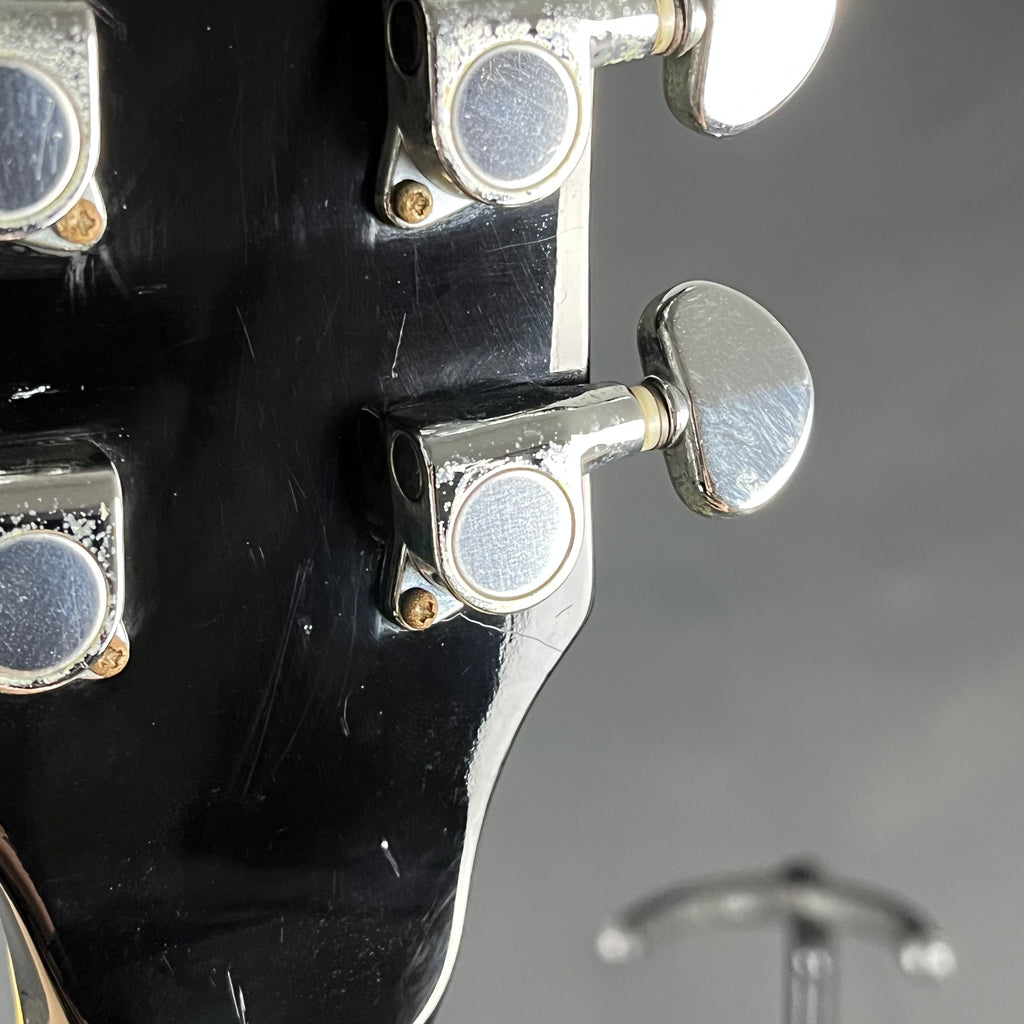 Ibanez AF75-BS