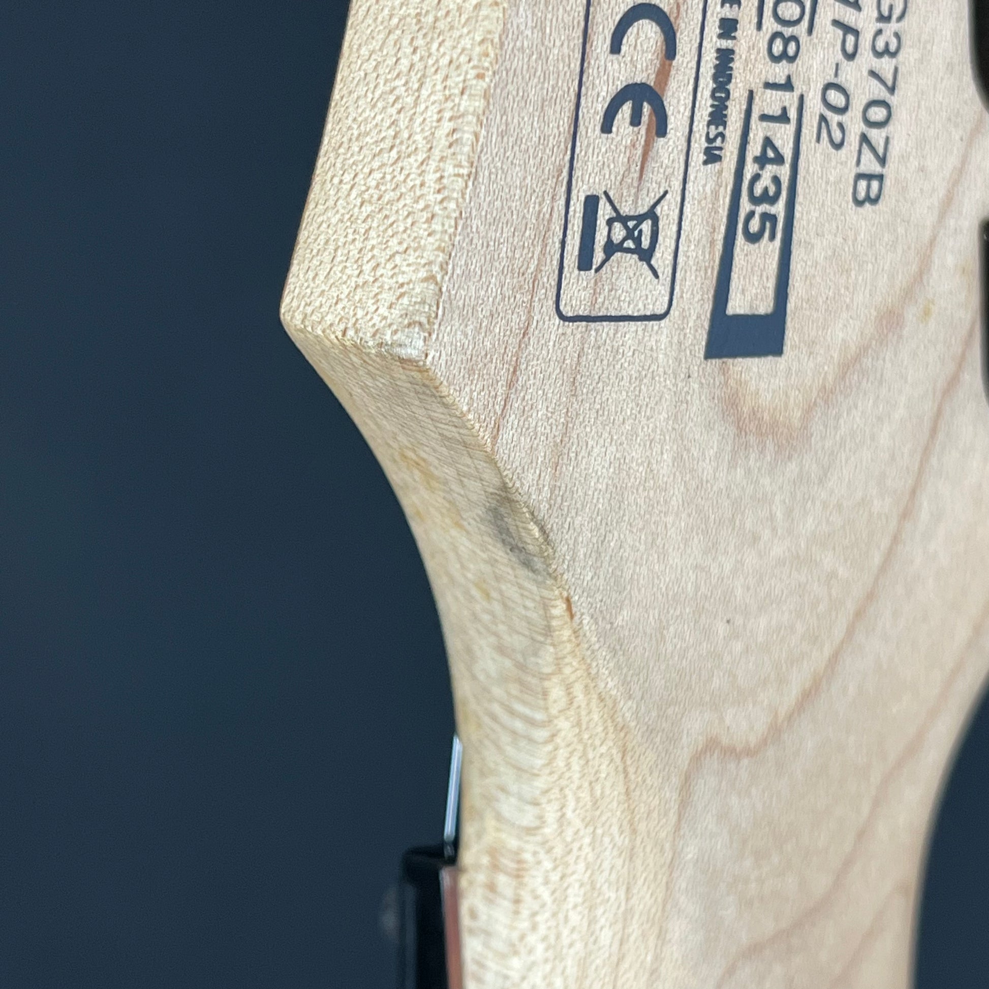 Ibanez RG370ZB
