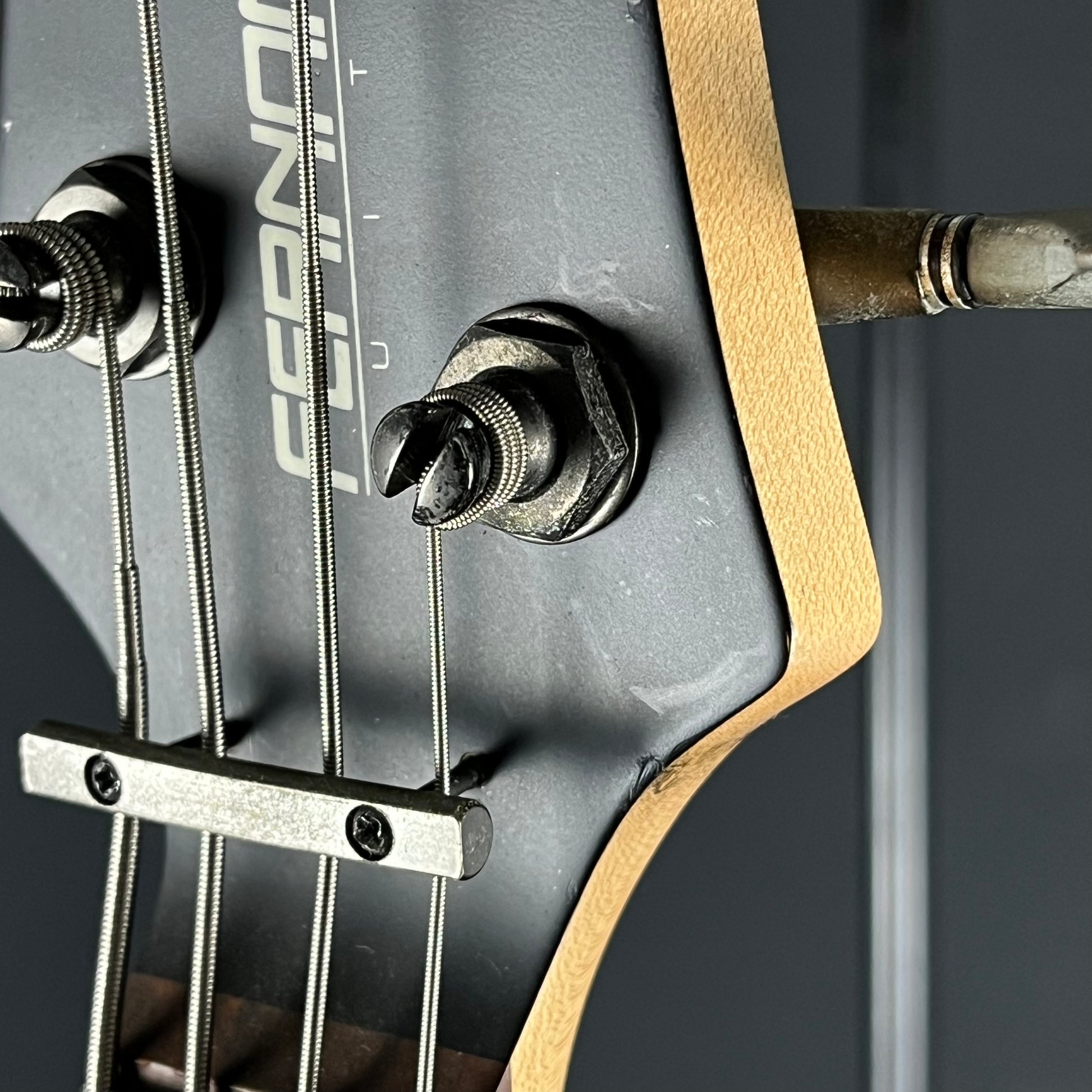 Fernandes Bass HH