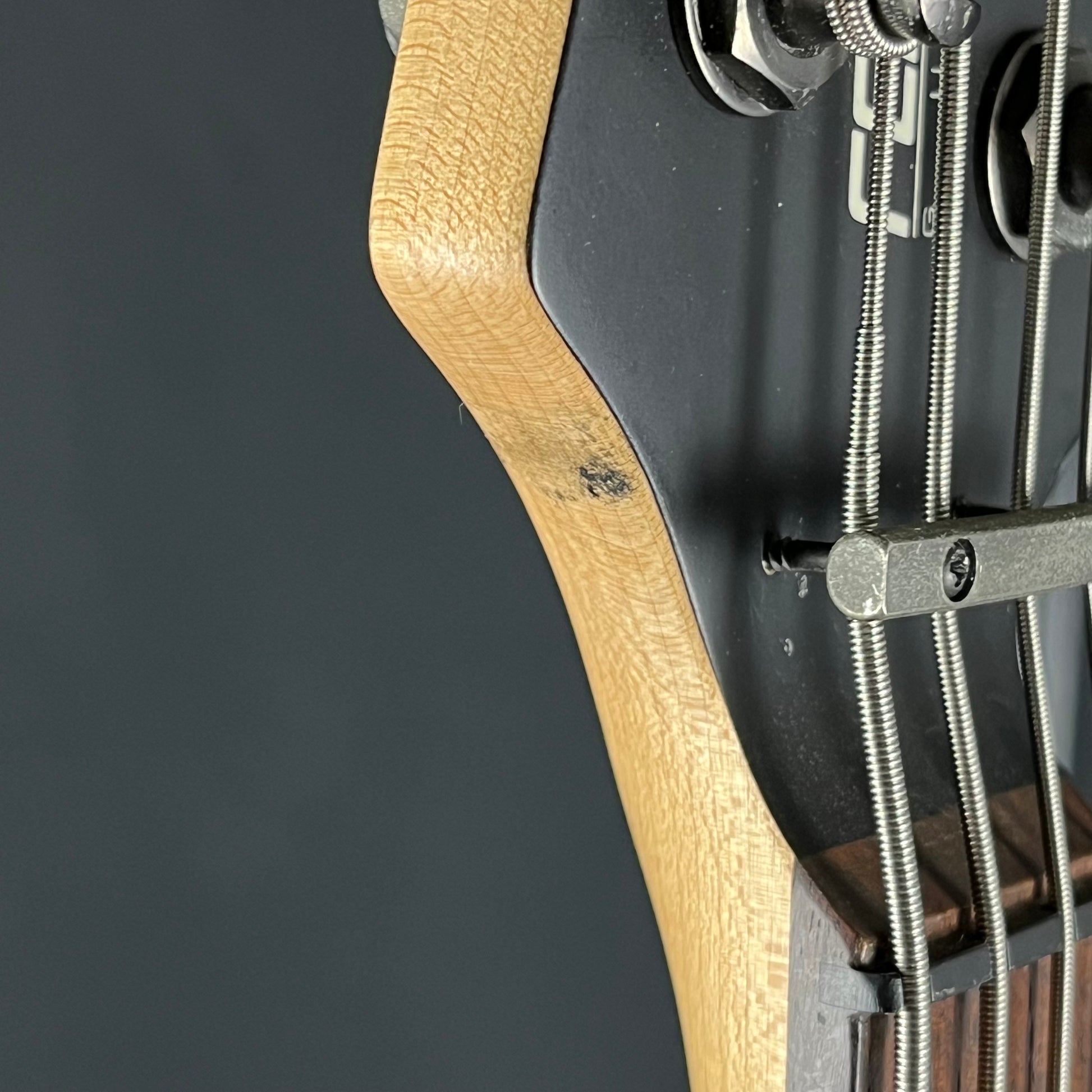 Fernandes Bass HH