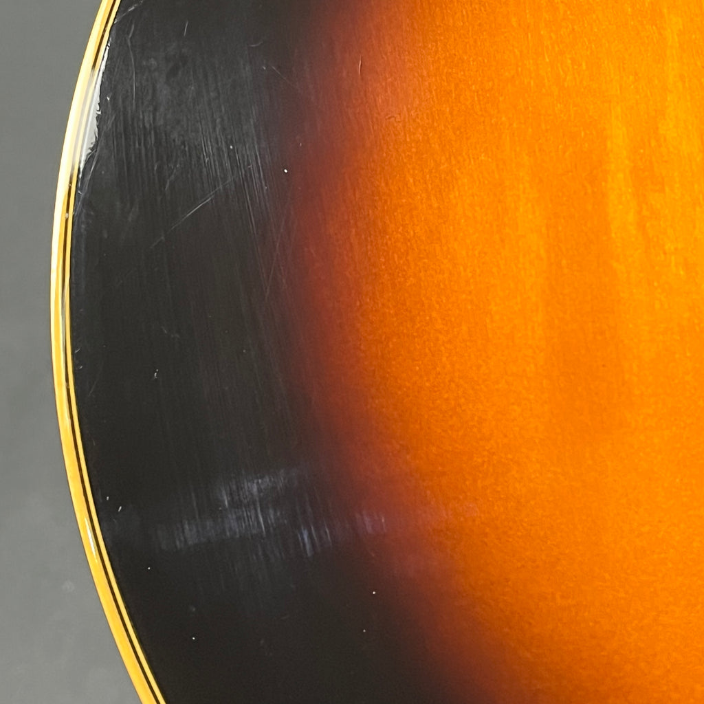 Ibanez AF75-BS