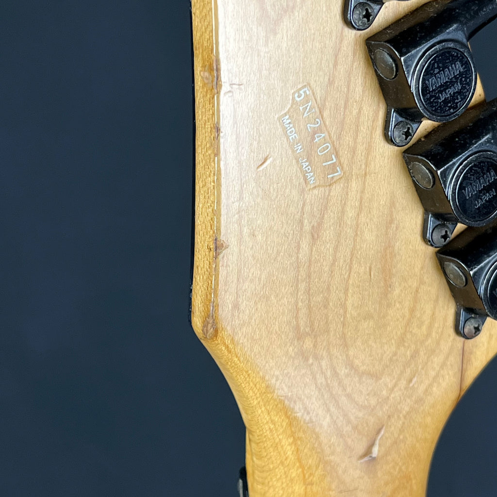 YAMAHA Japan RGX503J