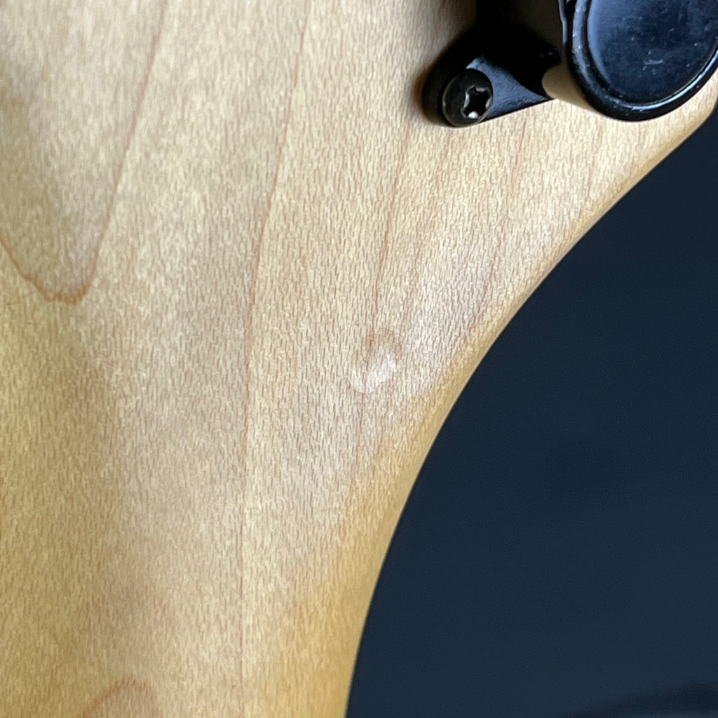 Aria Pro II Magna Series