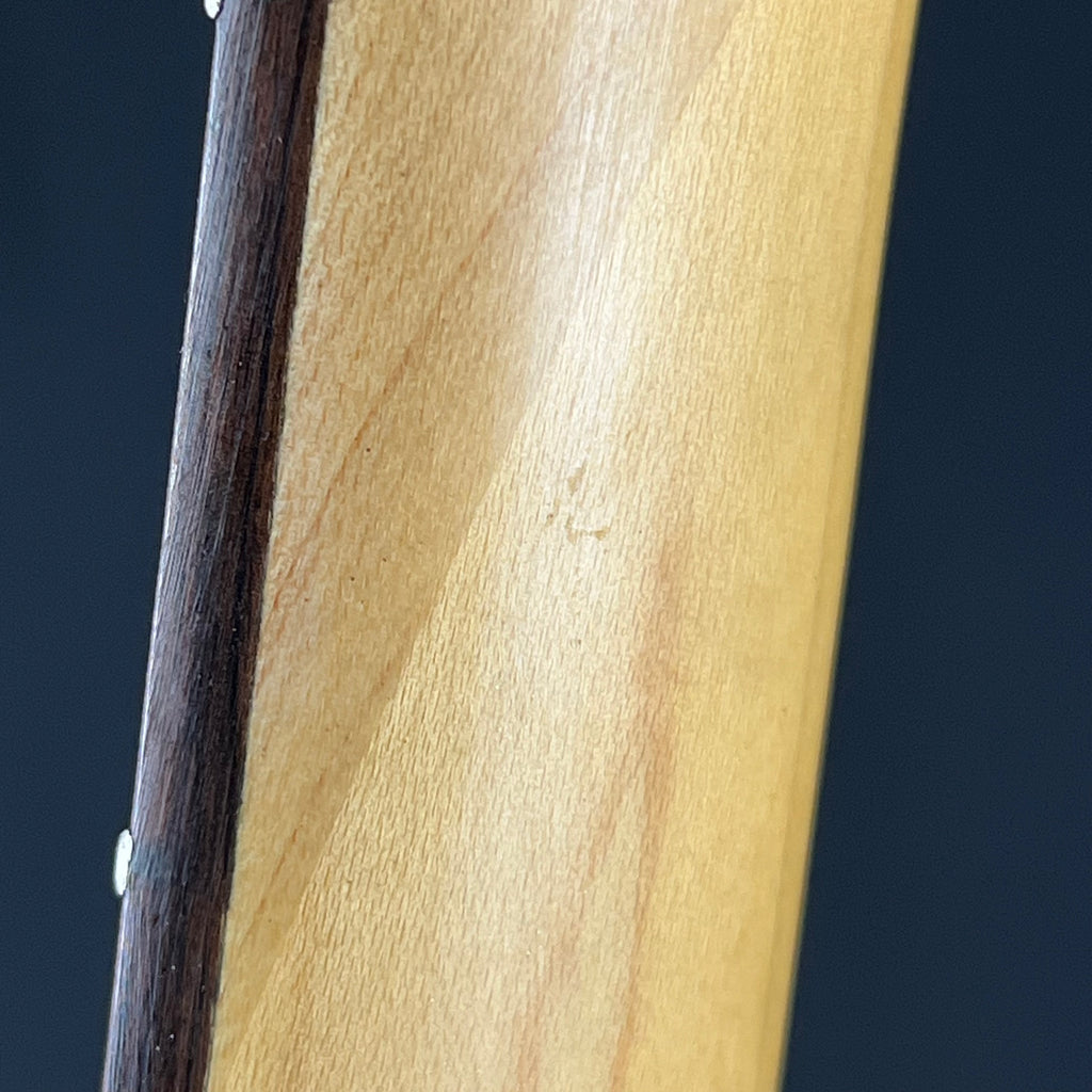 Aria Pro II Magna Series