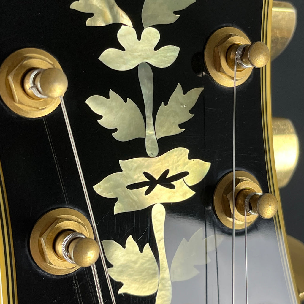 Epiphone Korea SHERATON