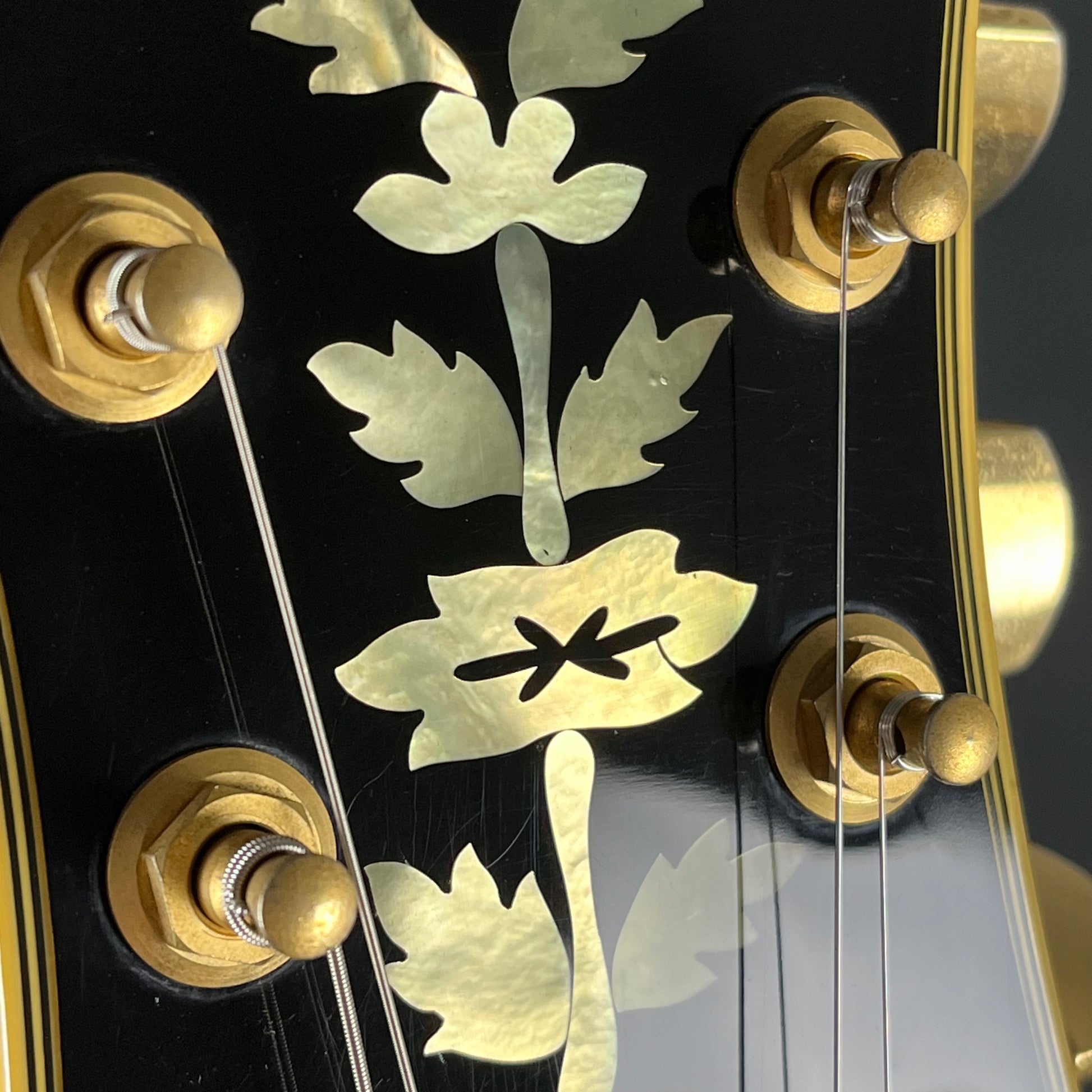 Epiphone Korea SHERATON