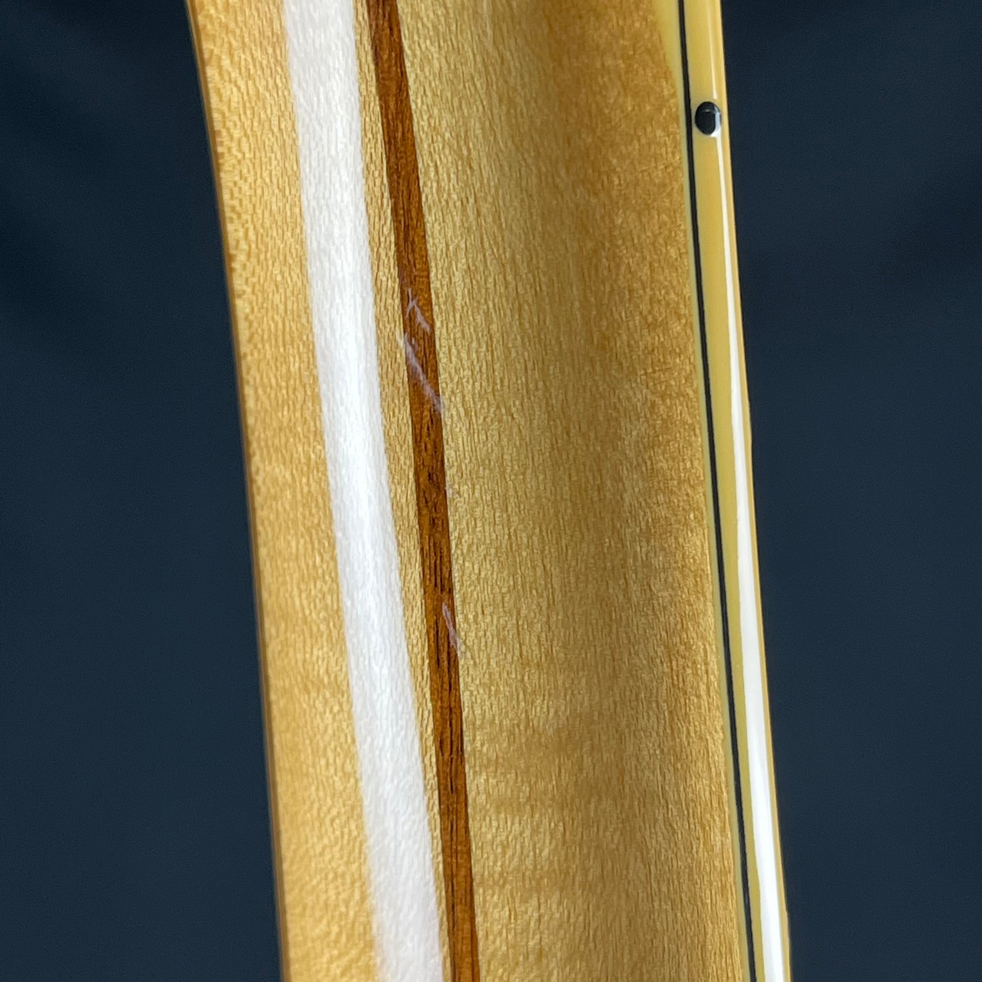 Epiphone Korea SHERATON