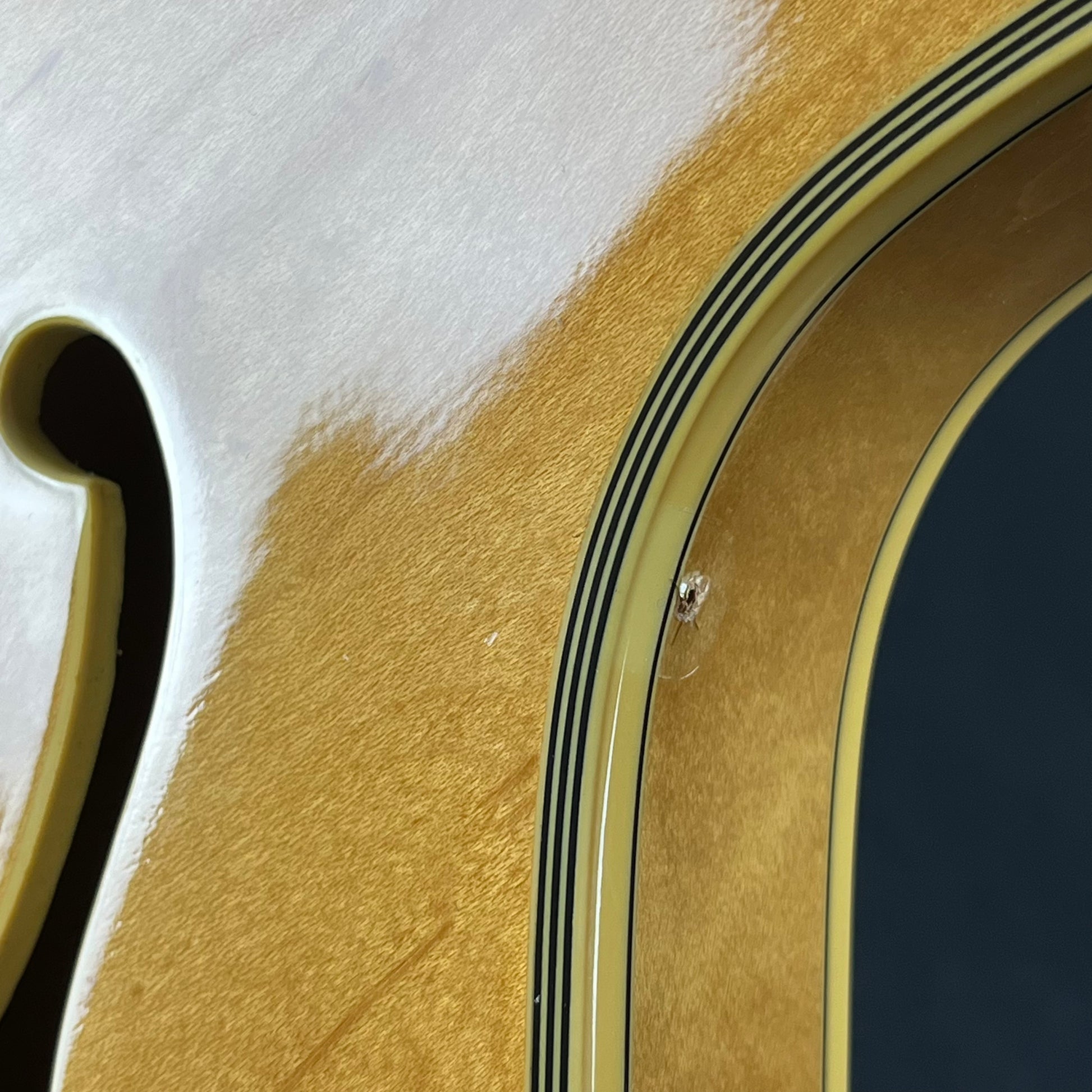 Epiphone Korea SHERATON