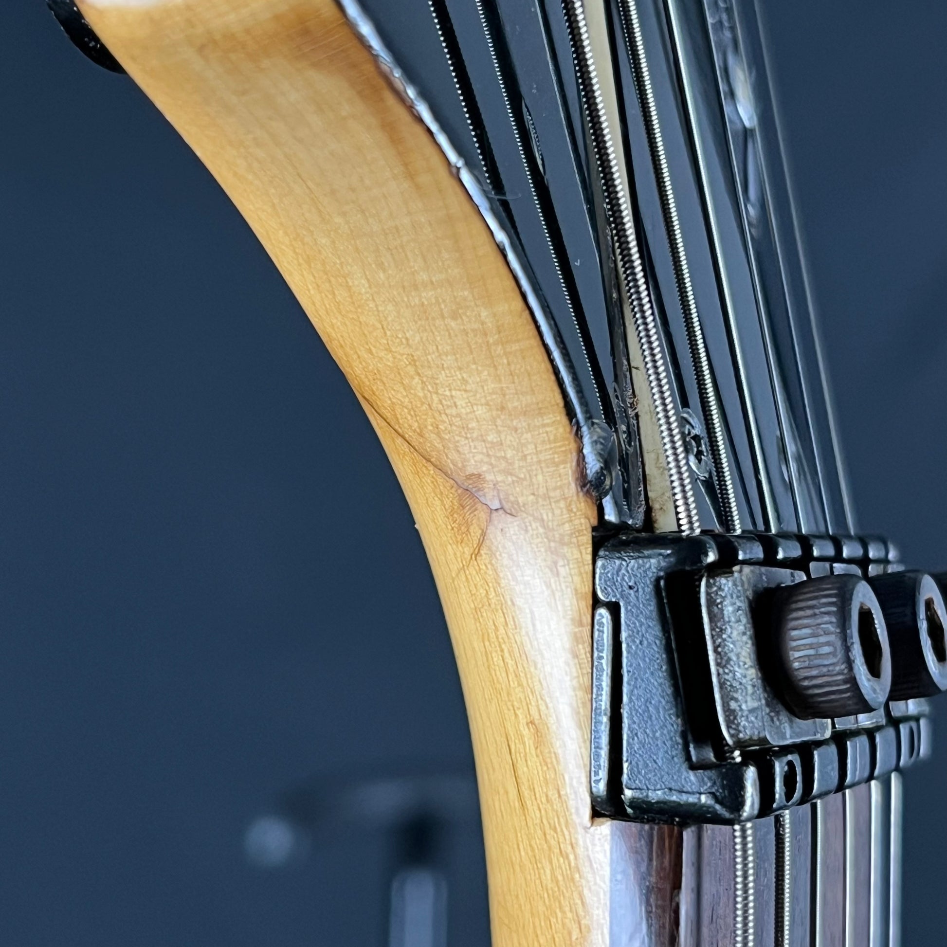 YAMAHA Japan RGX503J