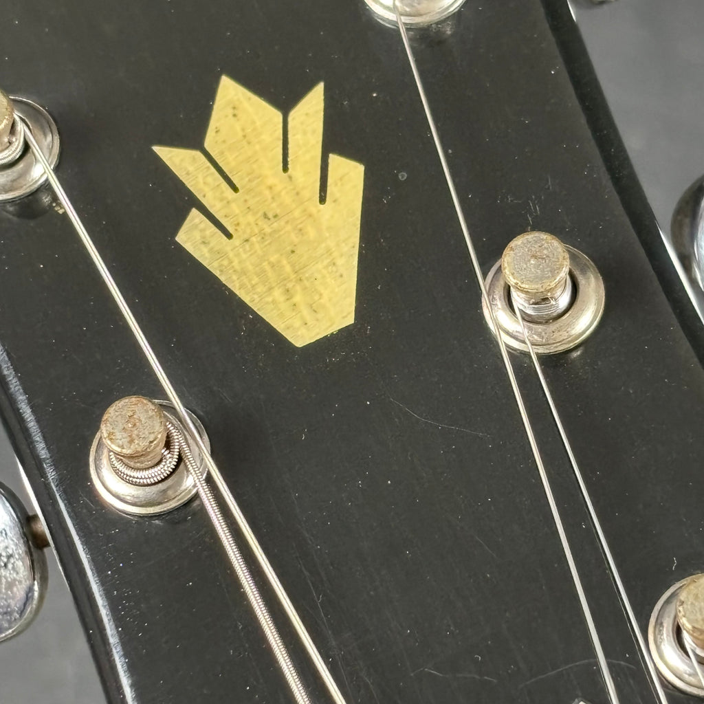 Epiphone Korea Riviera