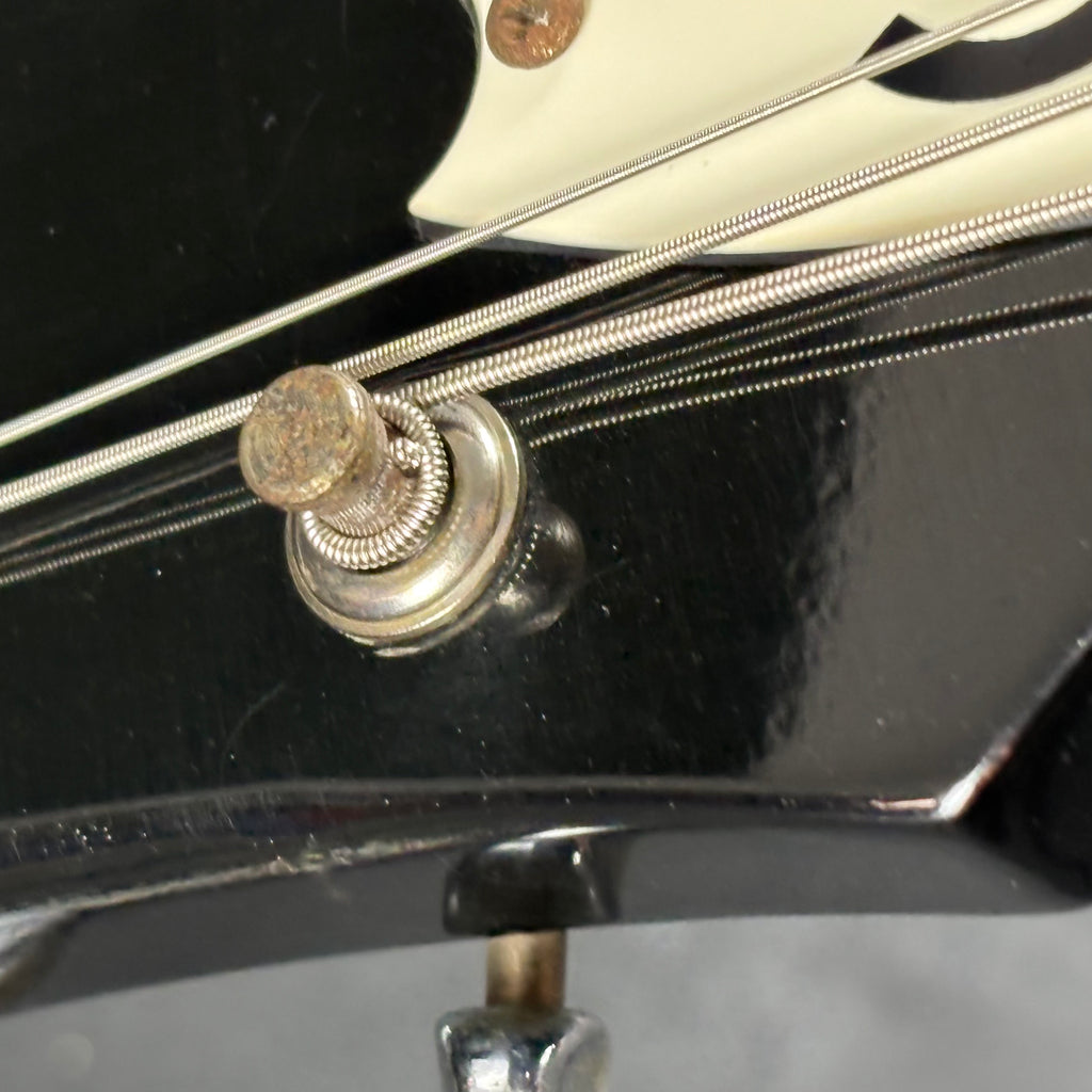 Epiphone Korea Riviera