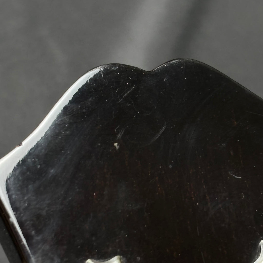 Epiphone Korea Riviera