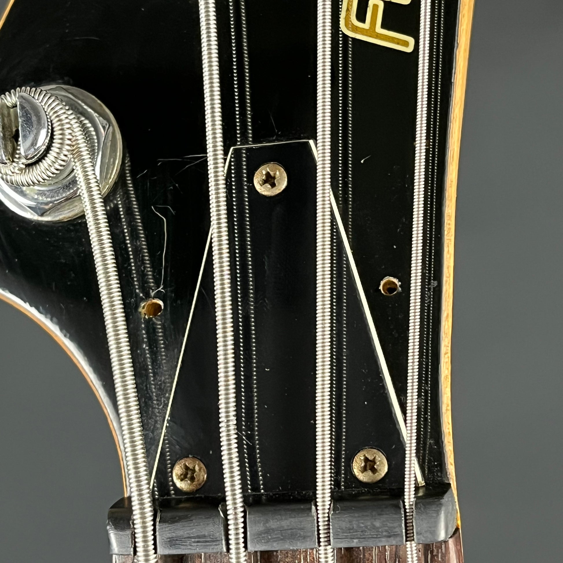 Fernandes PJ Bass