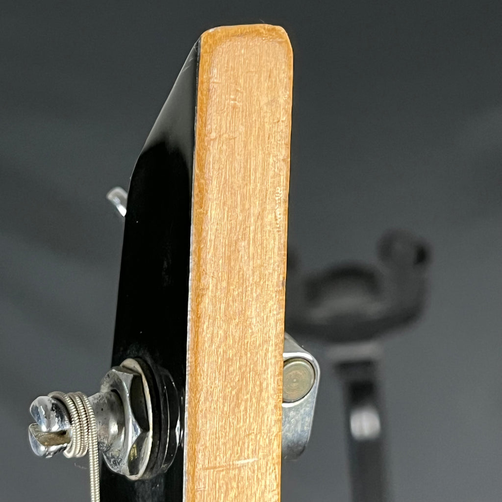 Fernandes PJ Bass