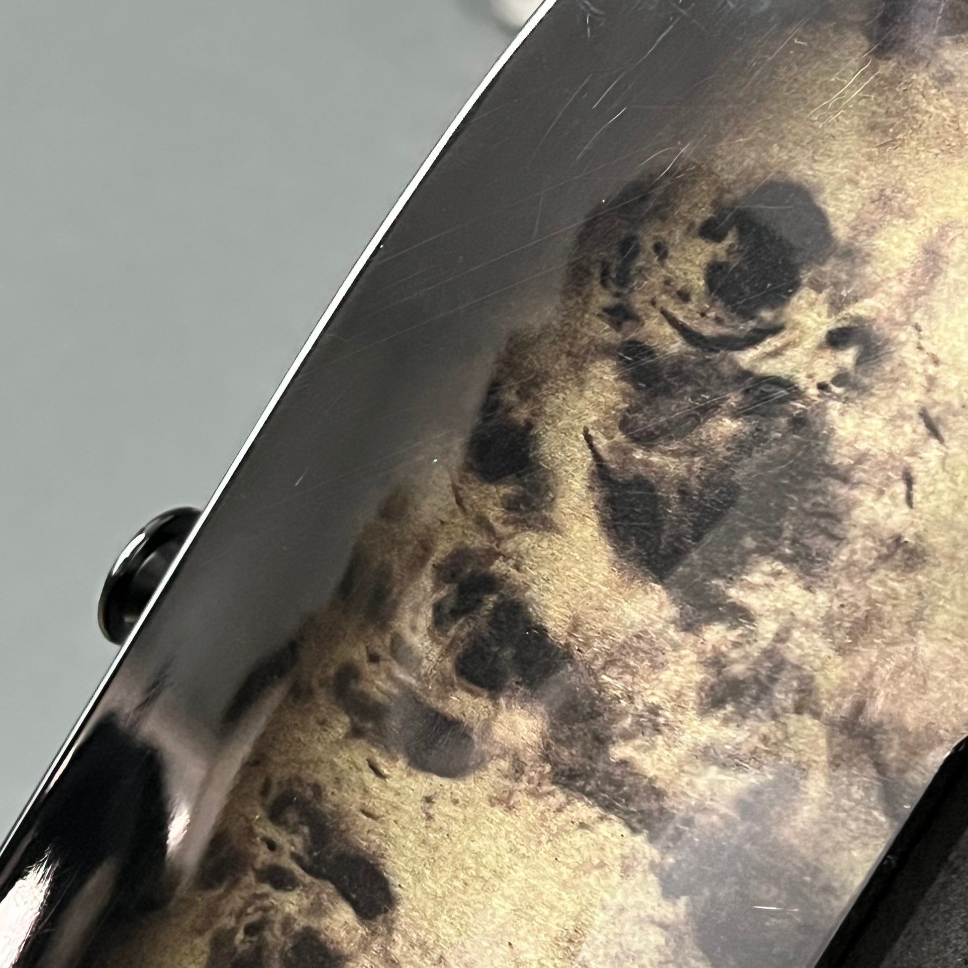 Jackson JS Series Dinky JS32 DKAP