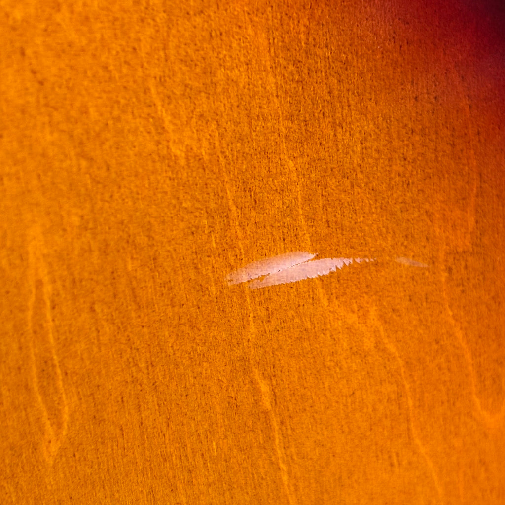 Epiphone Korea Riviera